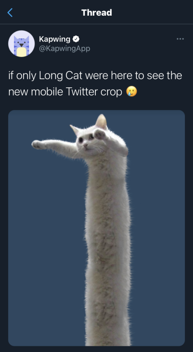 A screenshot of a tweet using the famous Long Cat meme to demonstrate Twitter's new, less restrictive image cropping.