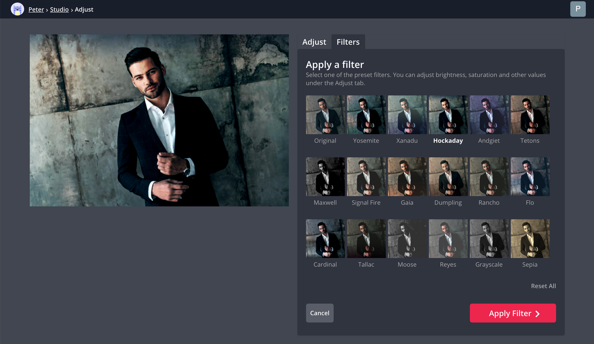 A screenshot showing how to add filters to images in the Kapwing Studio. 