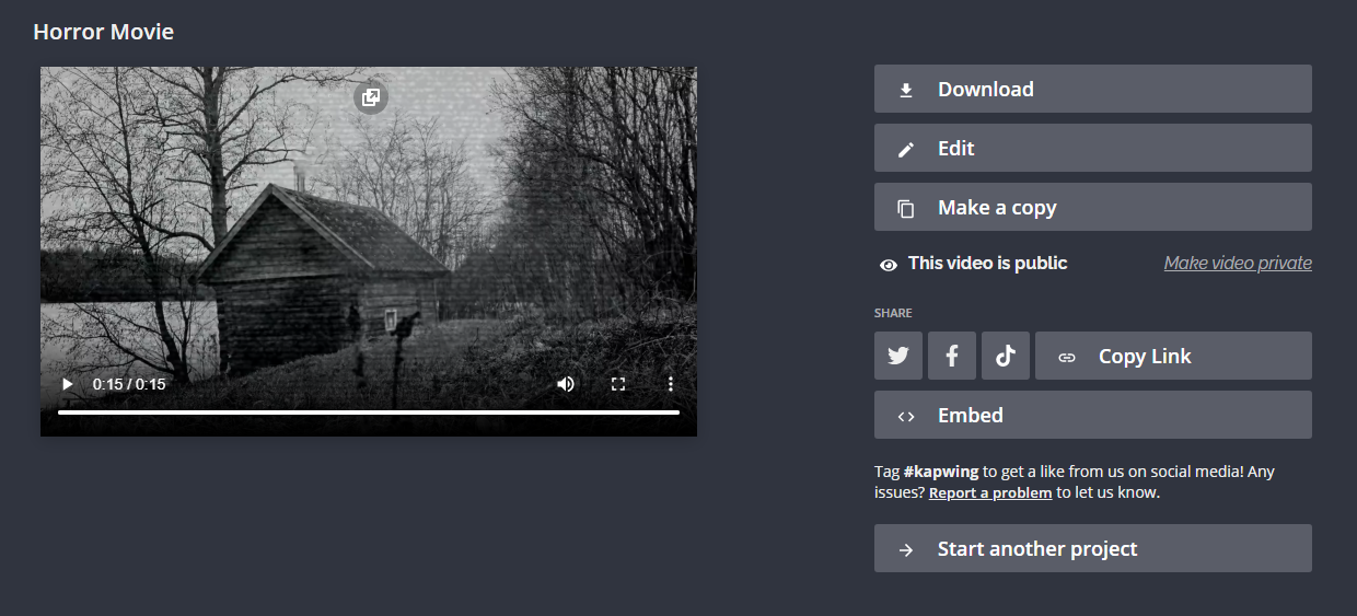 A screenshot showing the download and sharing options for a video in the Kapwing Studio