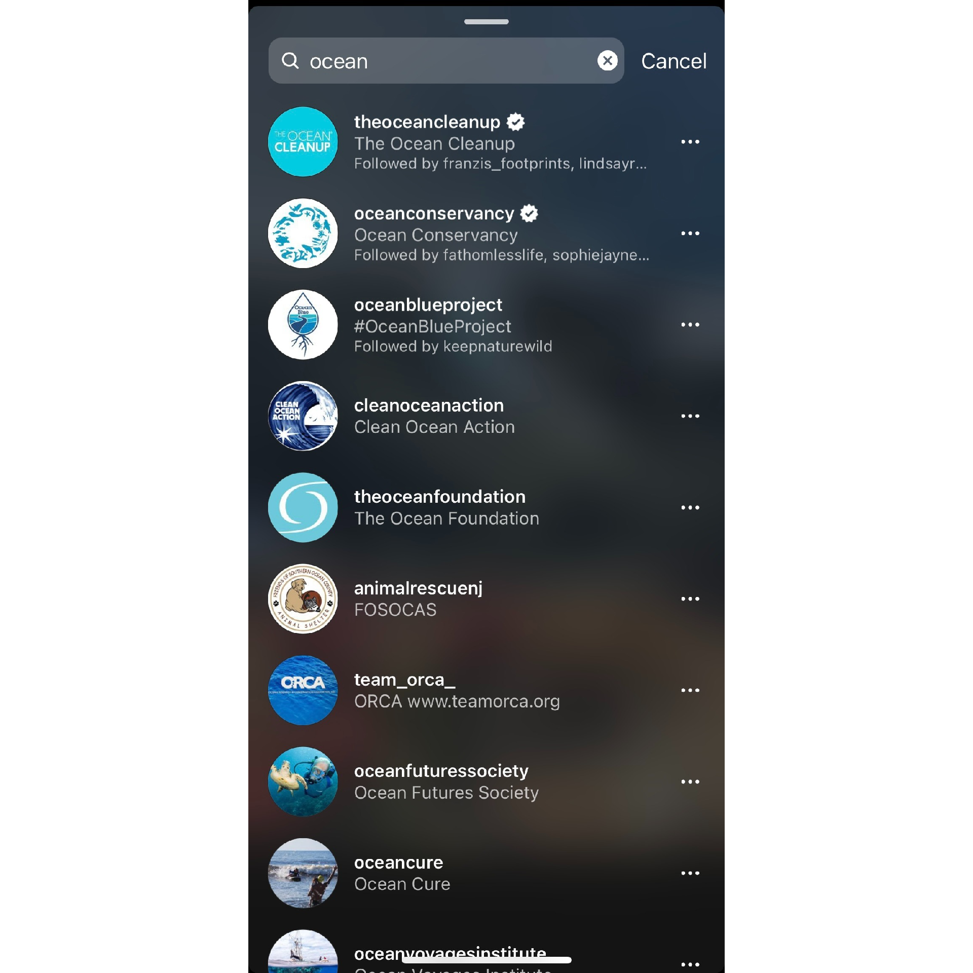 Choose a charity to donate to for Earth Day using the Donation Sticker on Instagram Stories.