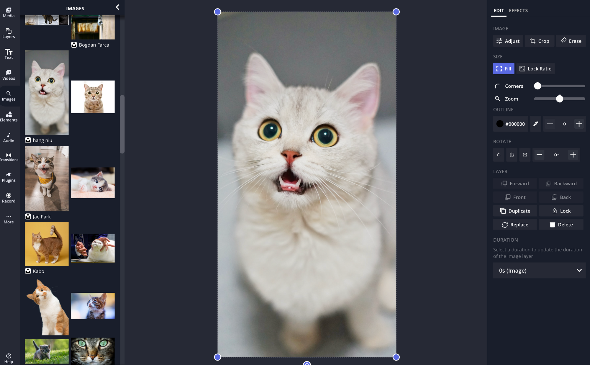 Use the Images Tool to find stock images in the Kapwing Editor
