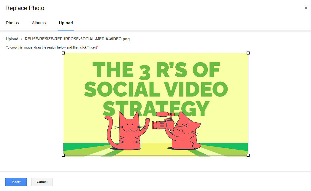 A screenshot displaying the crop in Layouts via Gmail