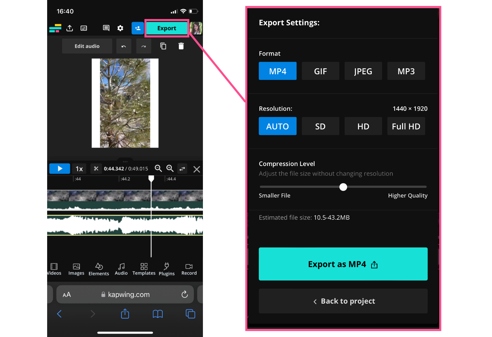 Kapwing export settings screen showing MP4 selected with resolution options for vertical video.