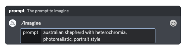 Screeshot on the Midjourney server showing how to input the prompt /imagine with an example query of '"Australian shepherd with heterochromia, photorealistic, portrait style"