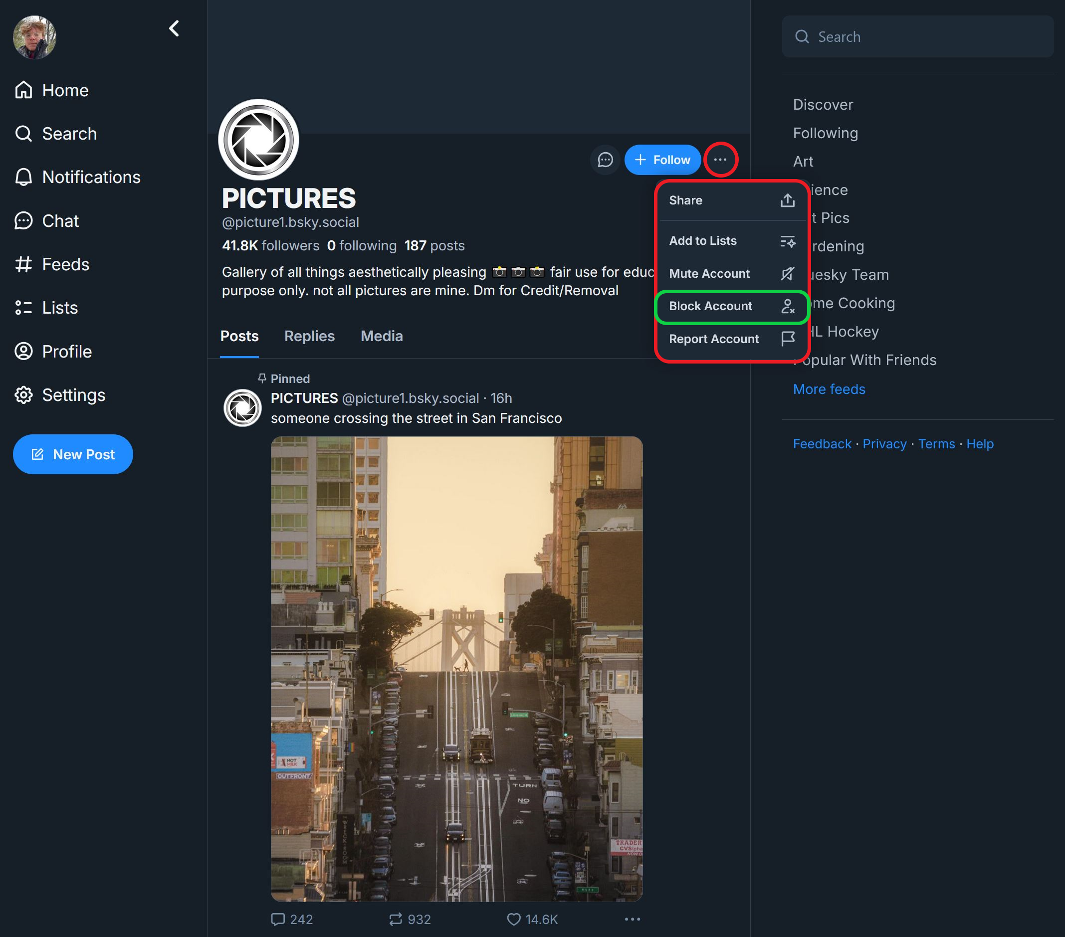 A BlueSky profile with the permissions menu open, highlighting available interaction settings.