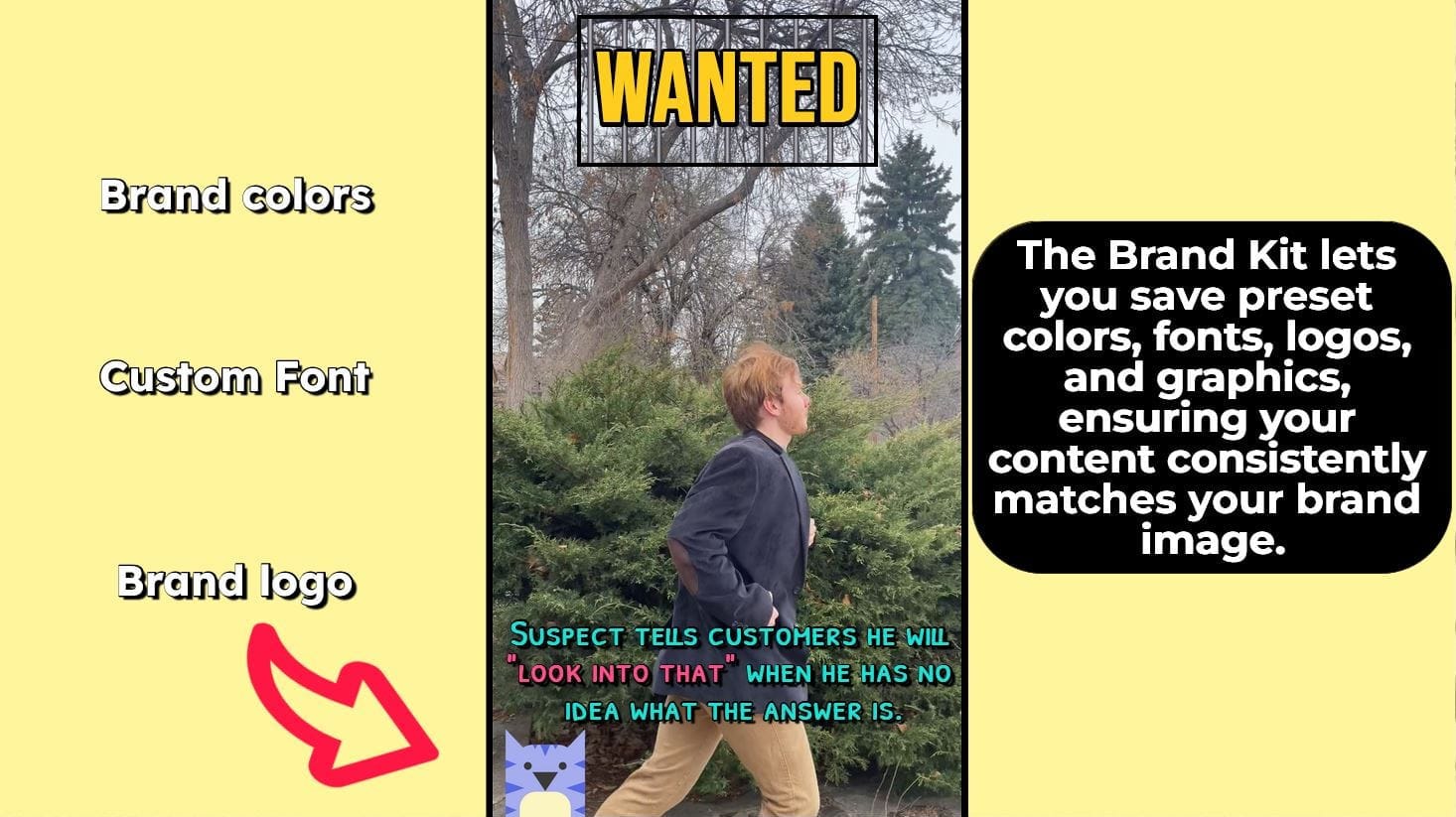 A still frame from a TikTok video surrounded by informational text and graphics. 
