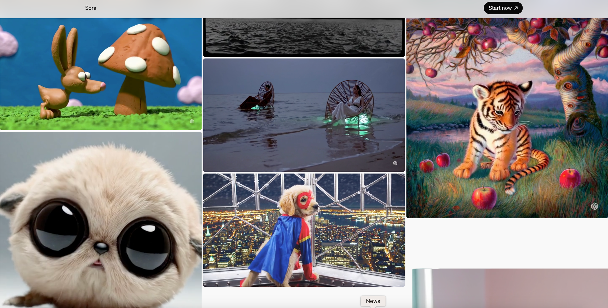 Sora's homepage, showing generated videos such as a claymation video, a tiger illustration, and a kitten with extremely big eyes.