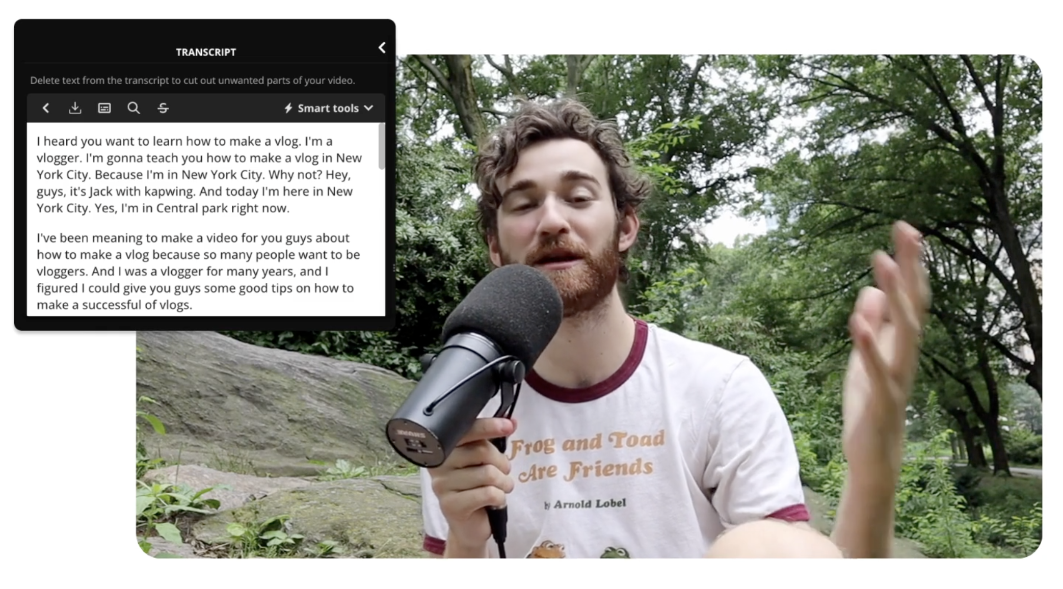 Audio transcription tool example