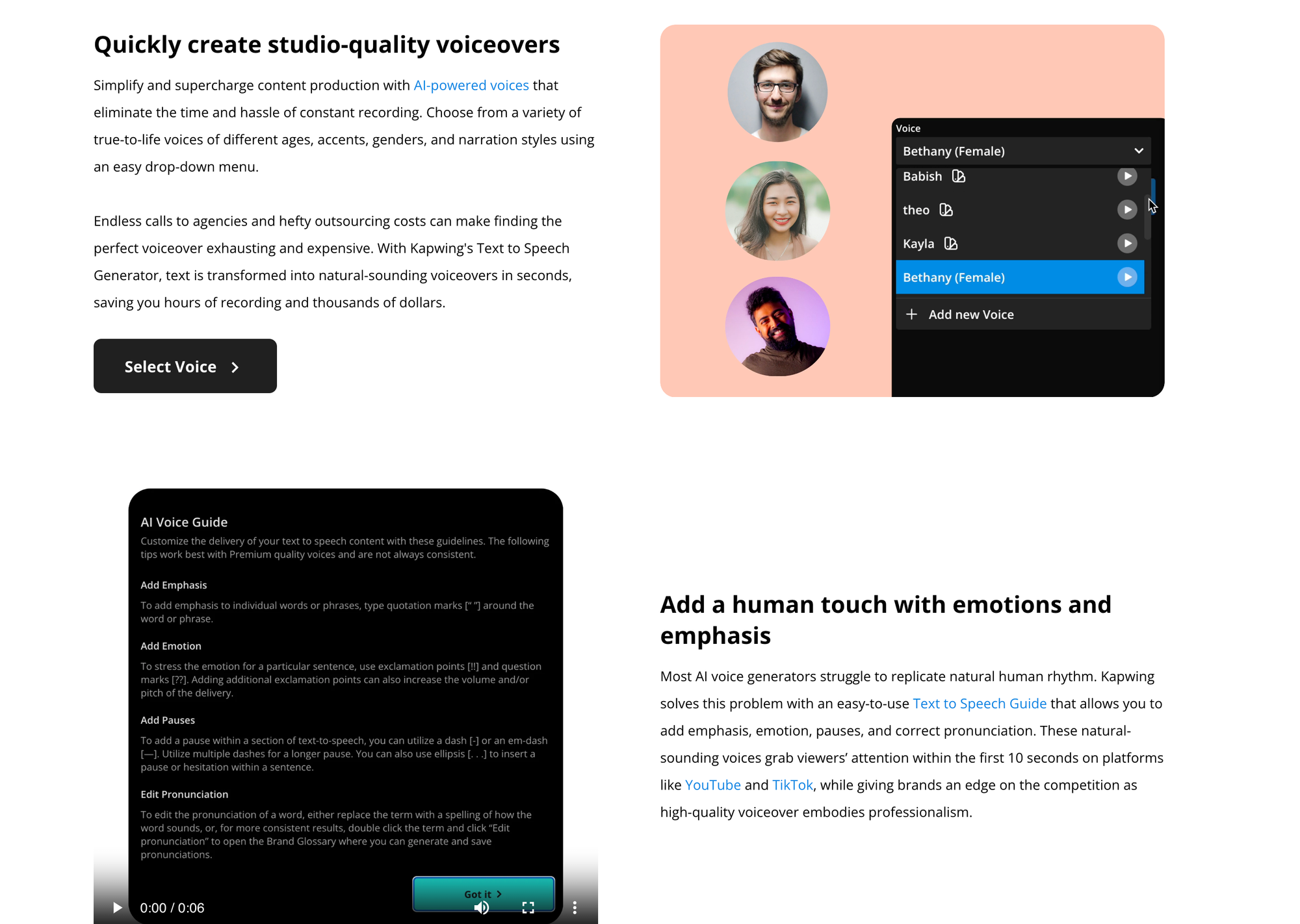 Kapwing AI Voice generation tools showing brand and voice customization options.