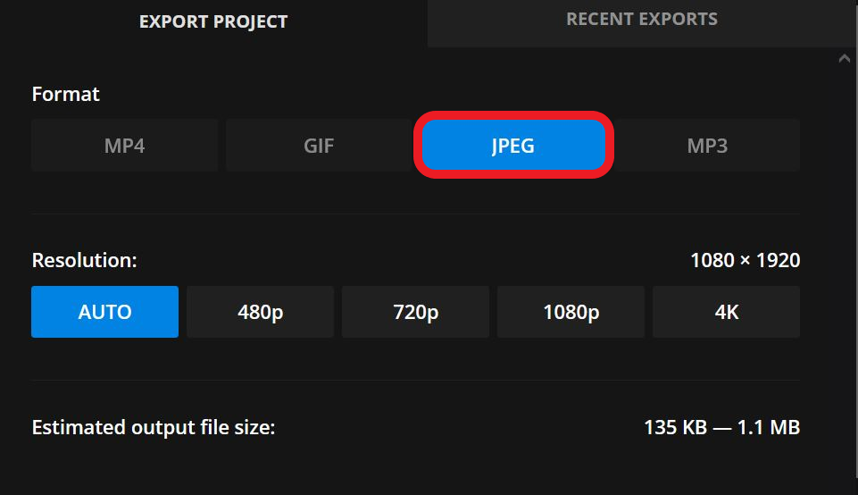 Kapwing export menu showing how to convert a file to a JPEG.