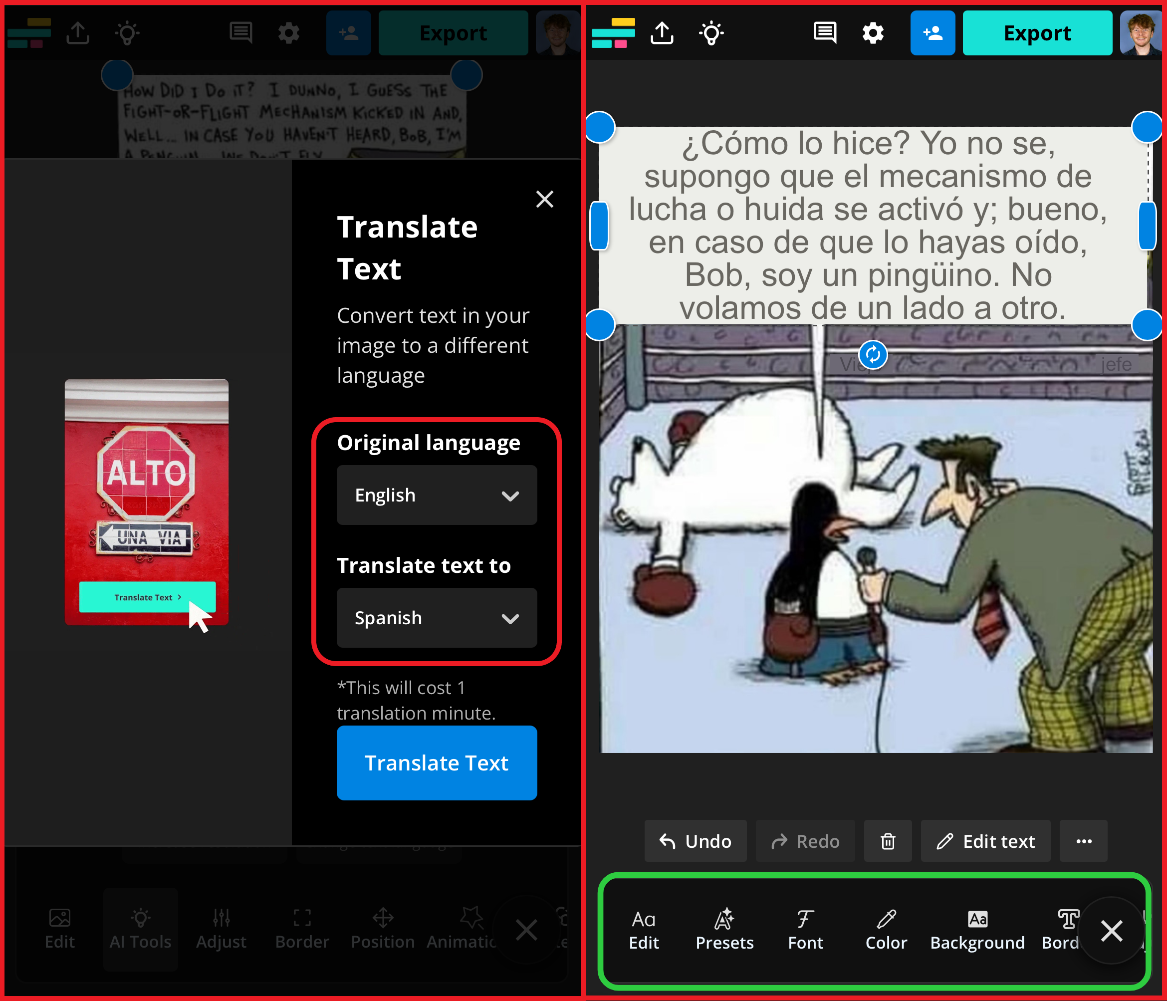 Kapwing interface showing how to edit translated image text.