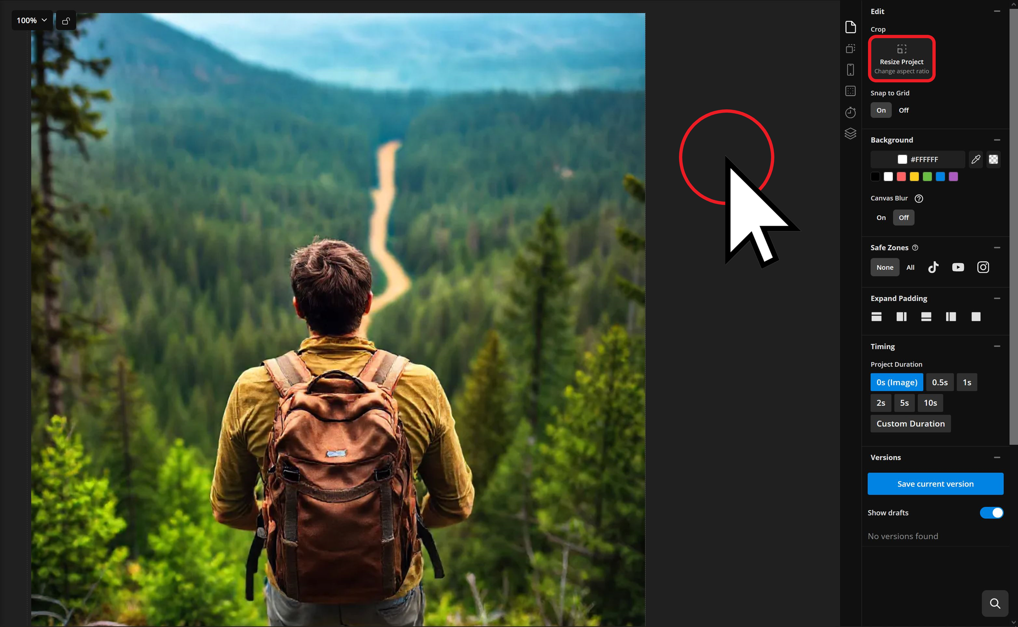 Kapwing editor showing how to resize images for social media. 