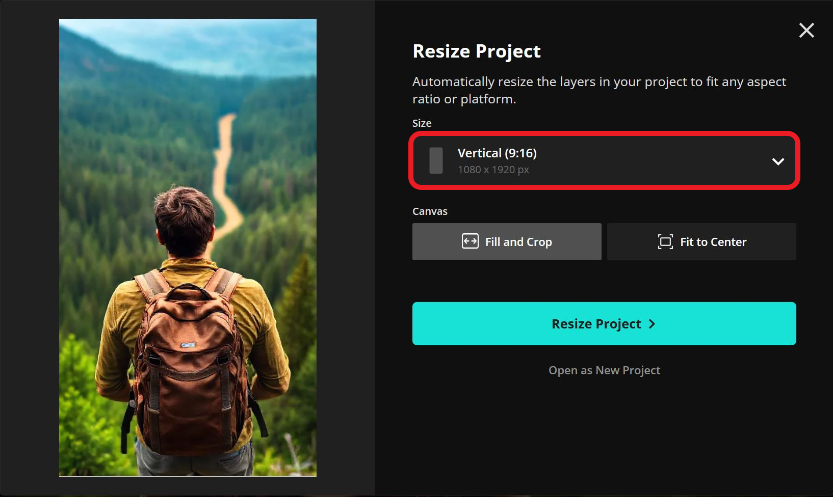 Kapwing Resize Project menu showing how to resize a video for LinkedIn. 