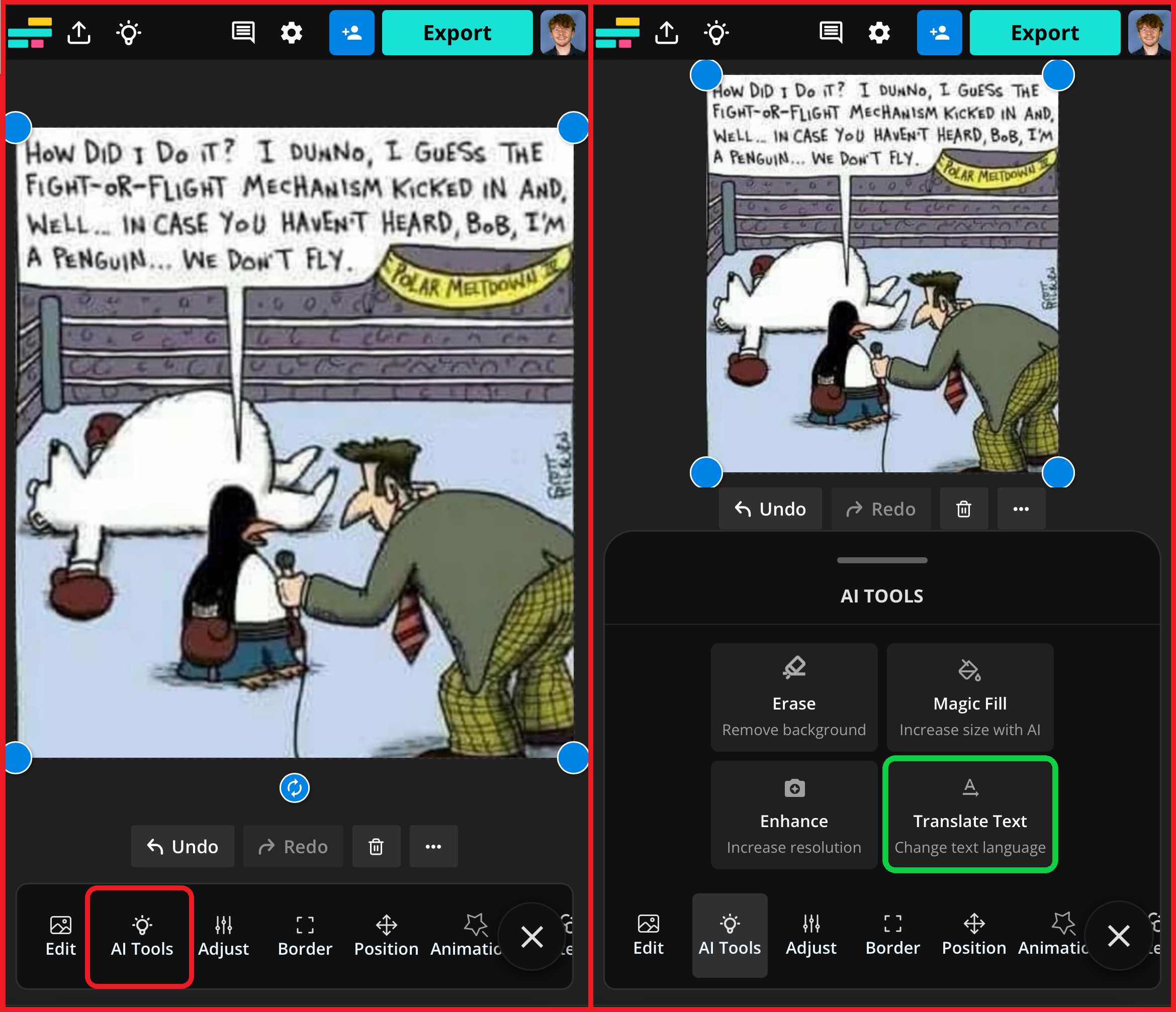 Kapwing interface showing how to automatically translate an image. 