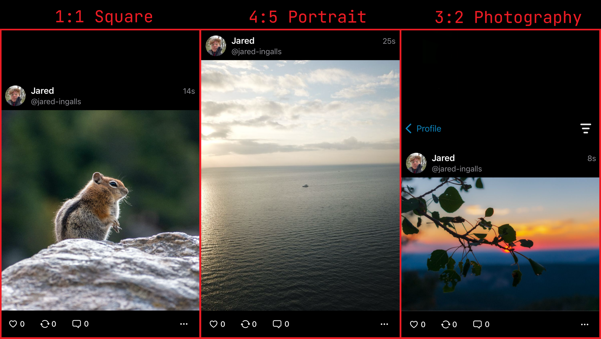 Three side-by-side images comparing different image aspect ratios in the Flashes feed