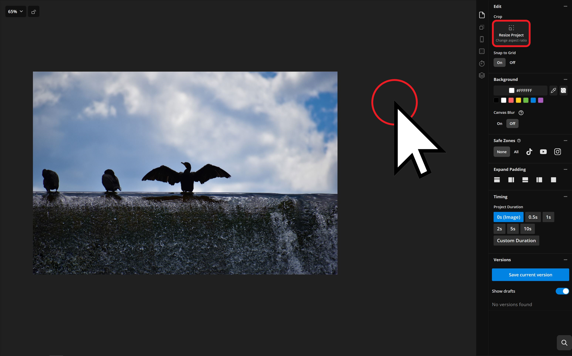 Guide showing how to resize images