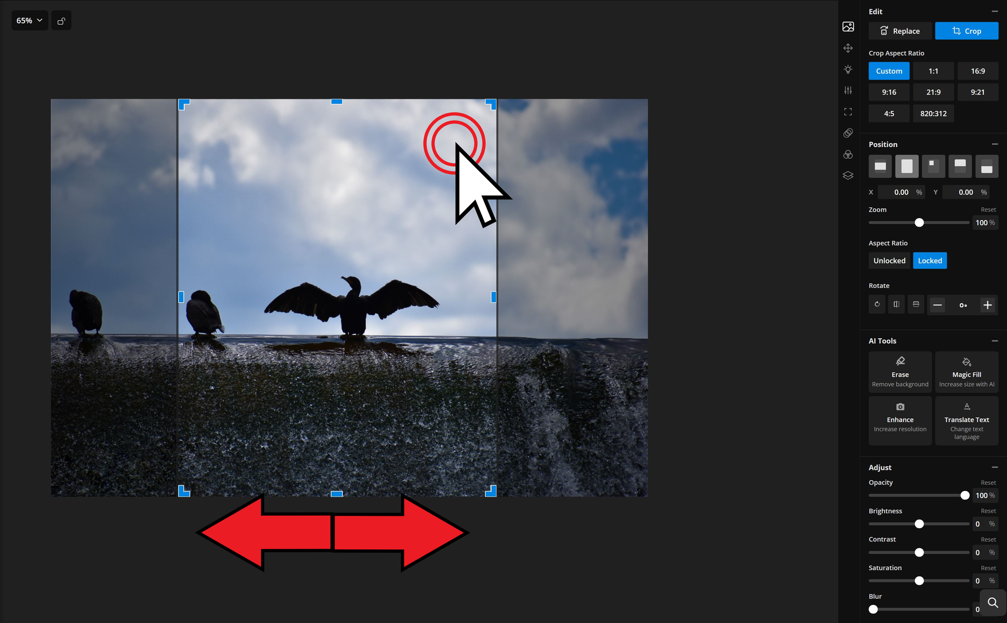 An image is cropped in the Kapwing editor studio after being resized