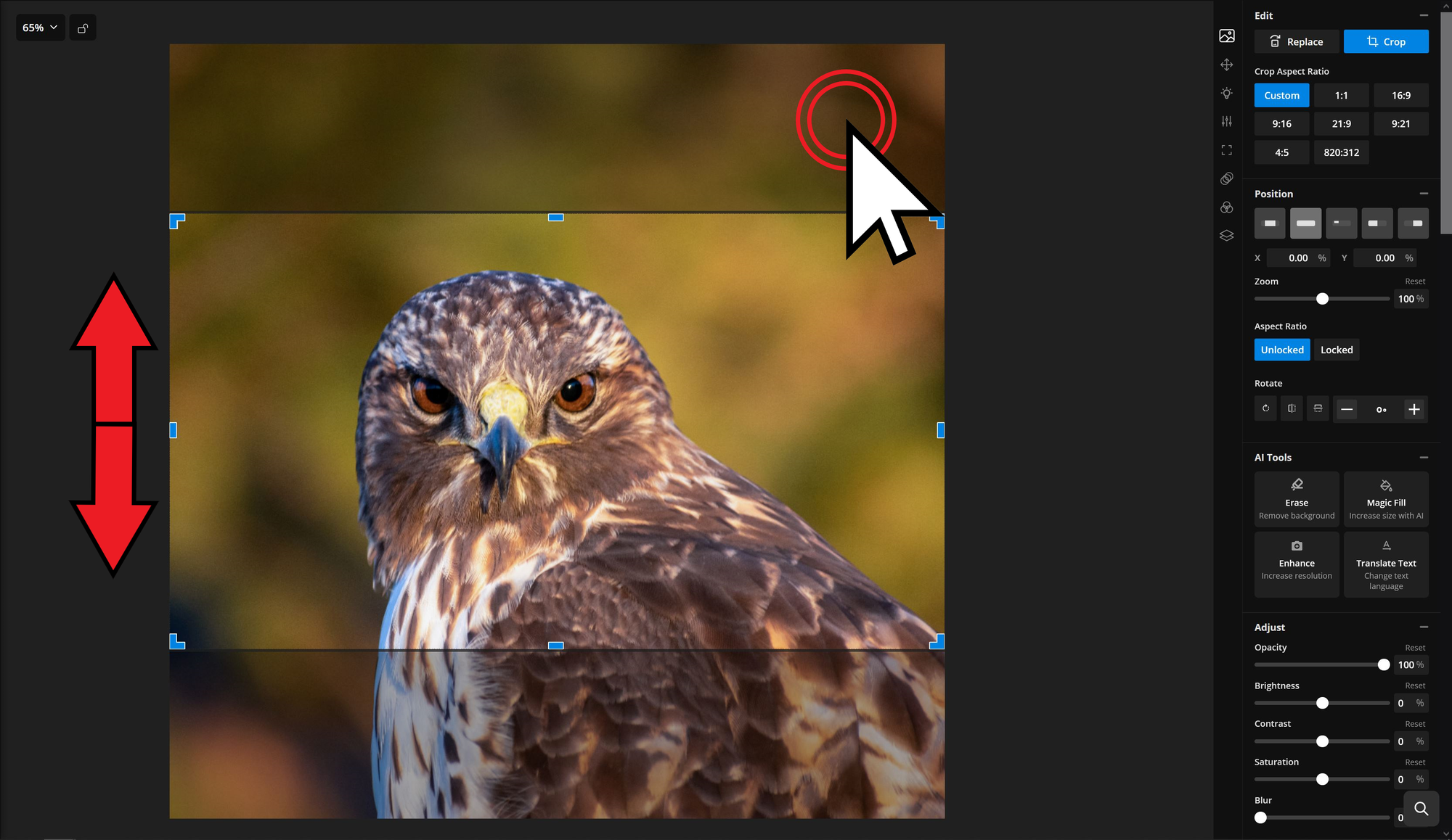 Guide showing how to crop a square image. 
