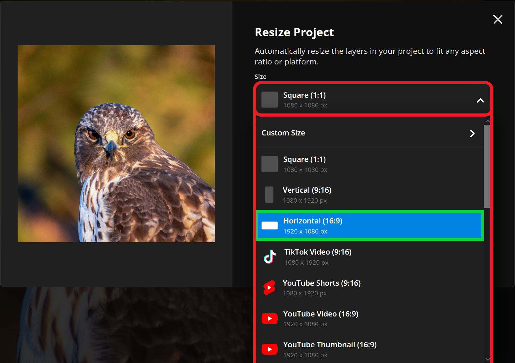 Guide showing available size presets on Kapwing. 
