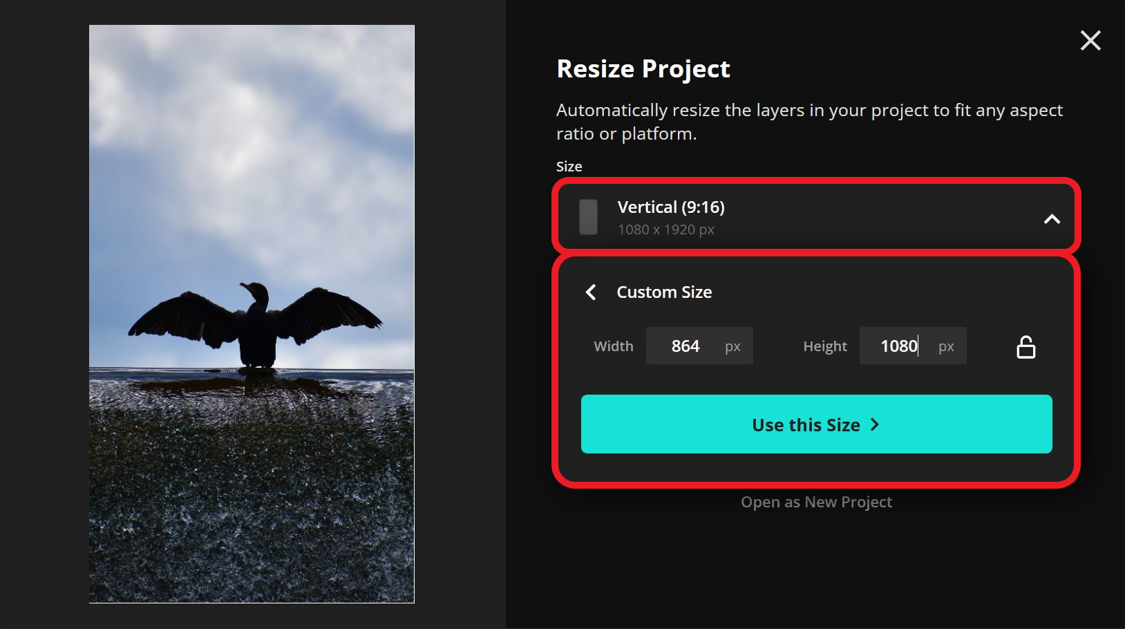 The Resize tool shown in more detail