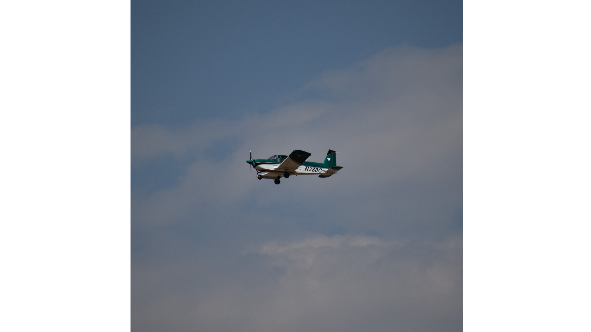 Example square image before being automatically extended to a landscape aspect ratio.