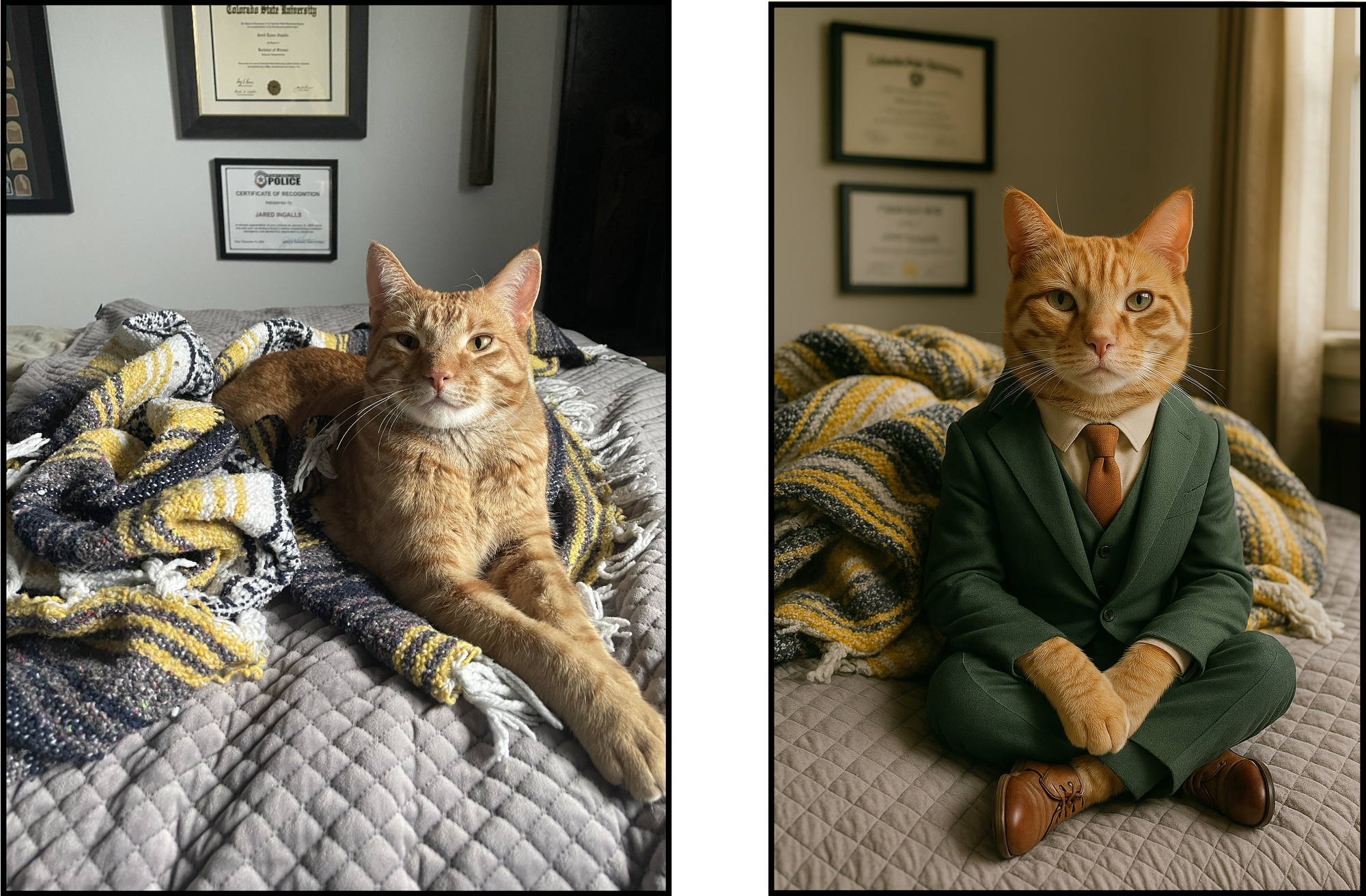 Comparison image between original photo and personified ChatGPT image generation.