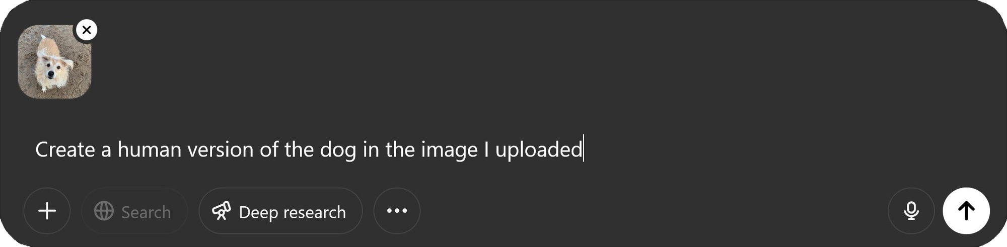 Guide showing how to convert a dog to a human with ChatGPT.