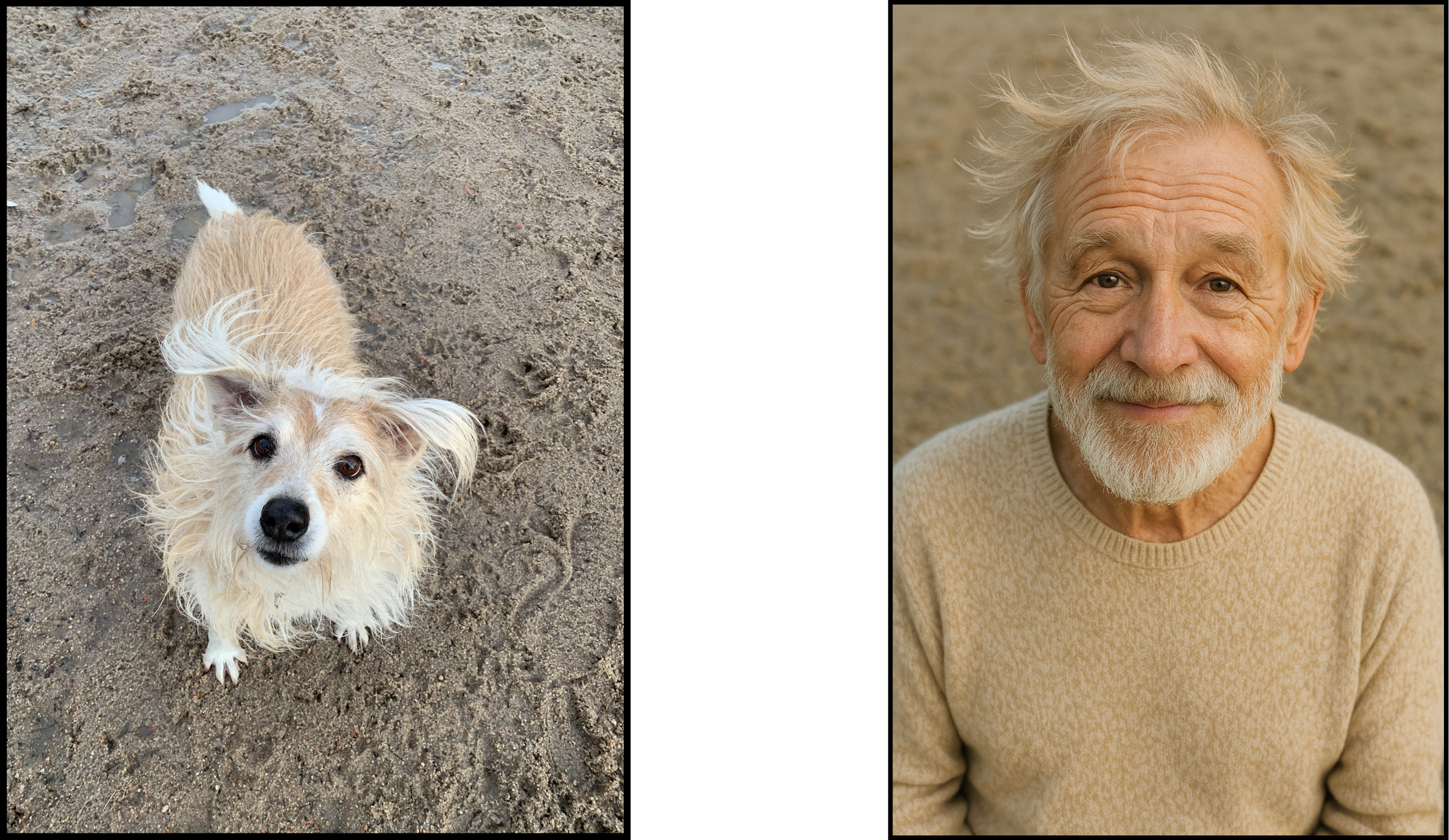 Comparison between original dog photo and ChatGPT generated human.