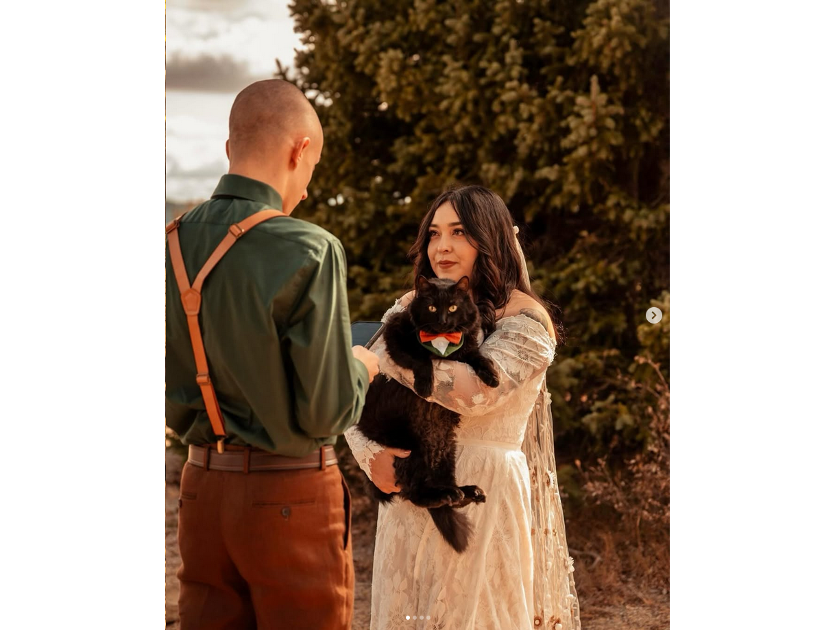 Photo of a bride and groom at a wedding party.