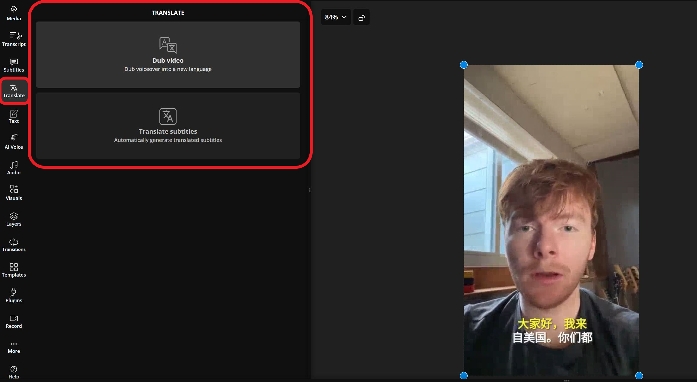 Subtitle translator interface showing different options for editing