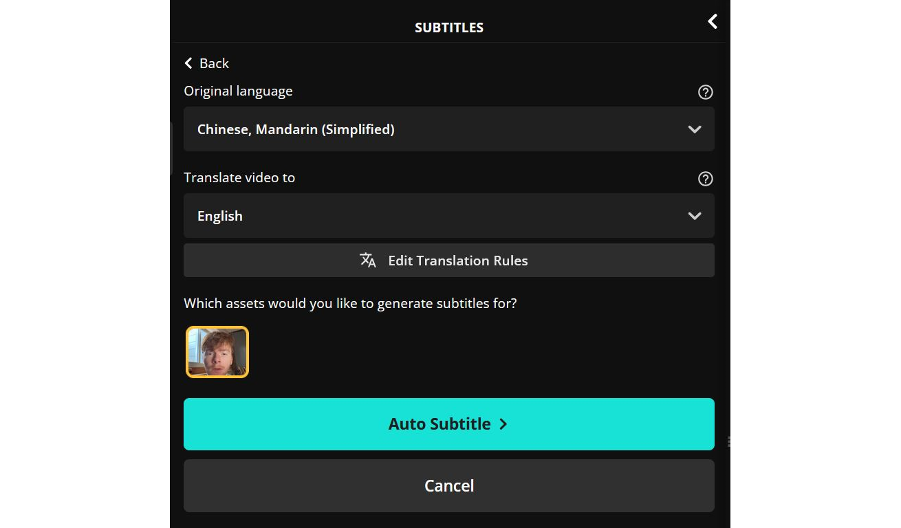 Subtitle translator interface