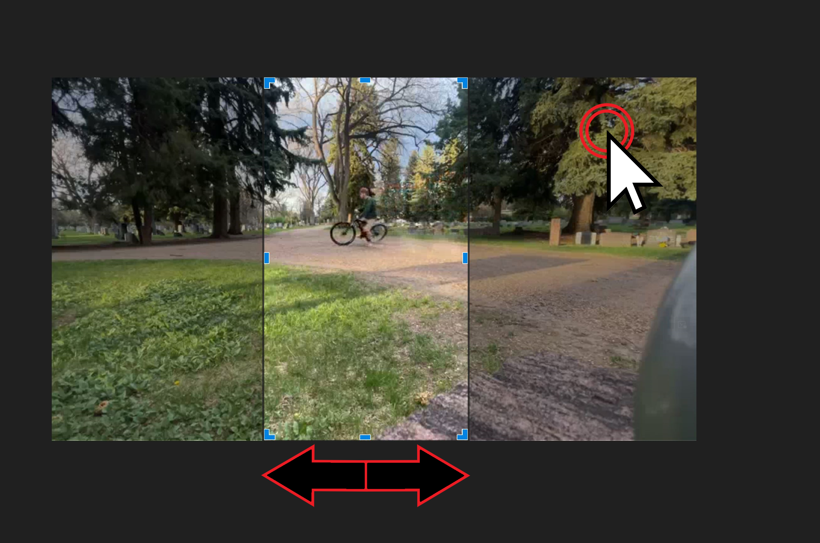 Cropping guide for Almost Forgot This is the whole point videos.