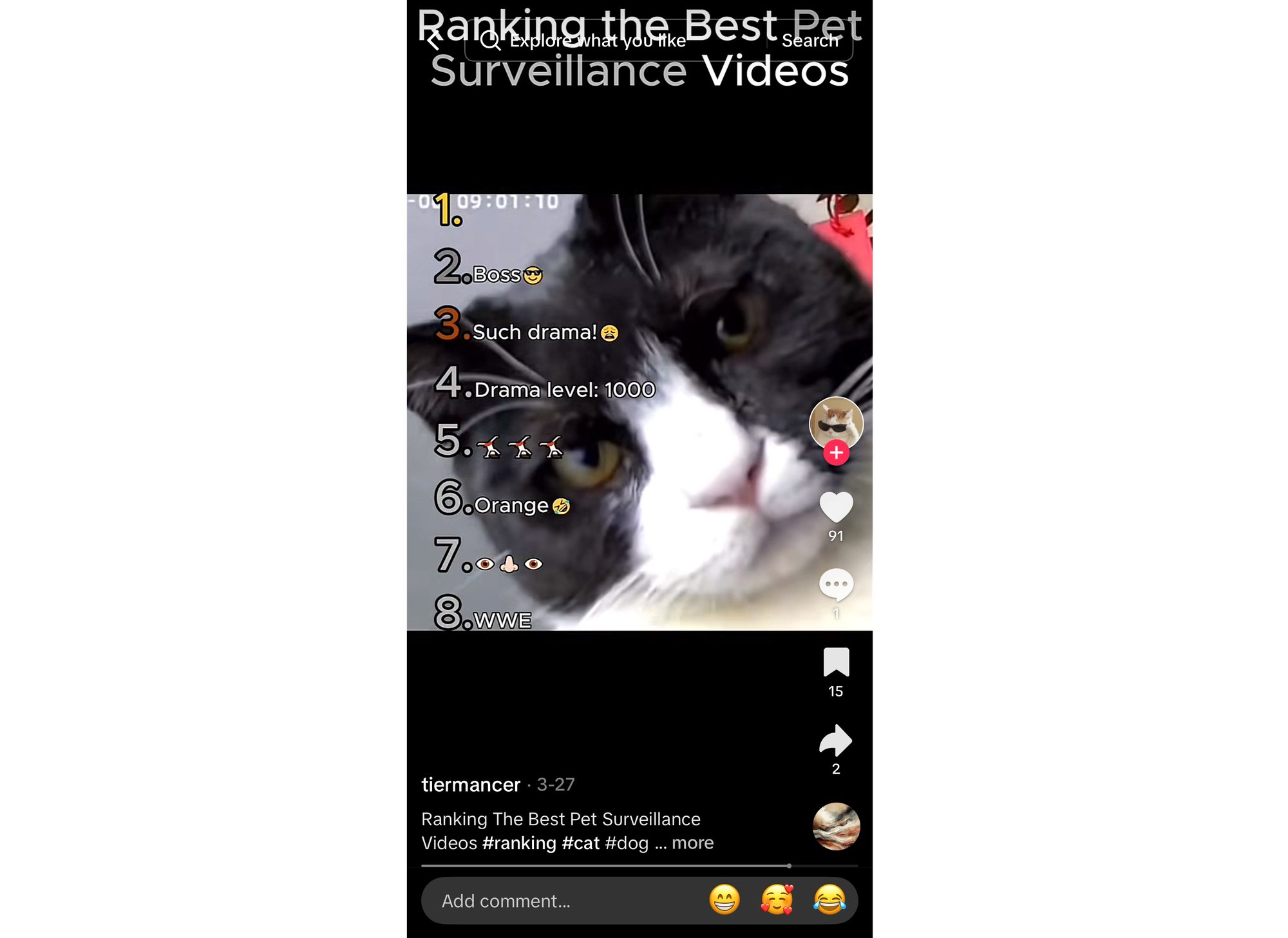 Example TikTok video with captions located around the video. 