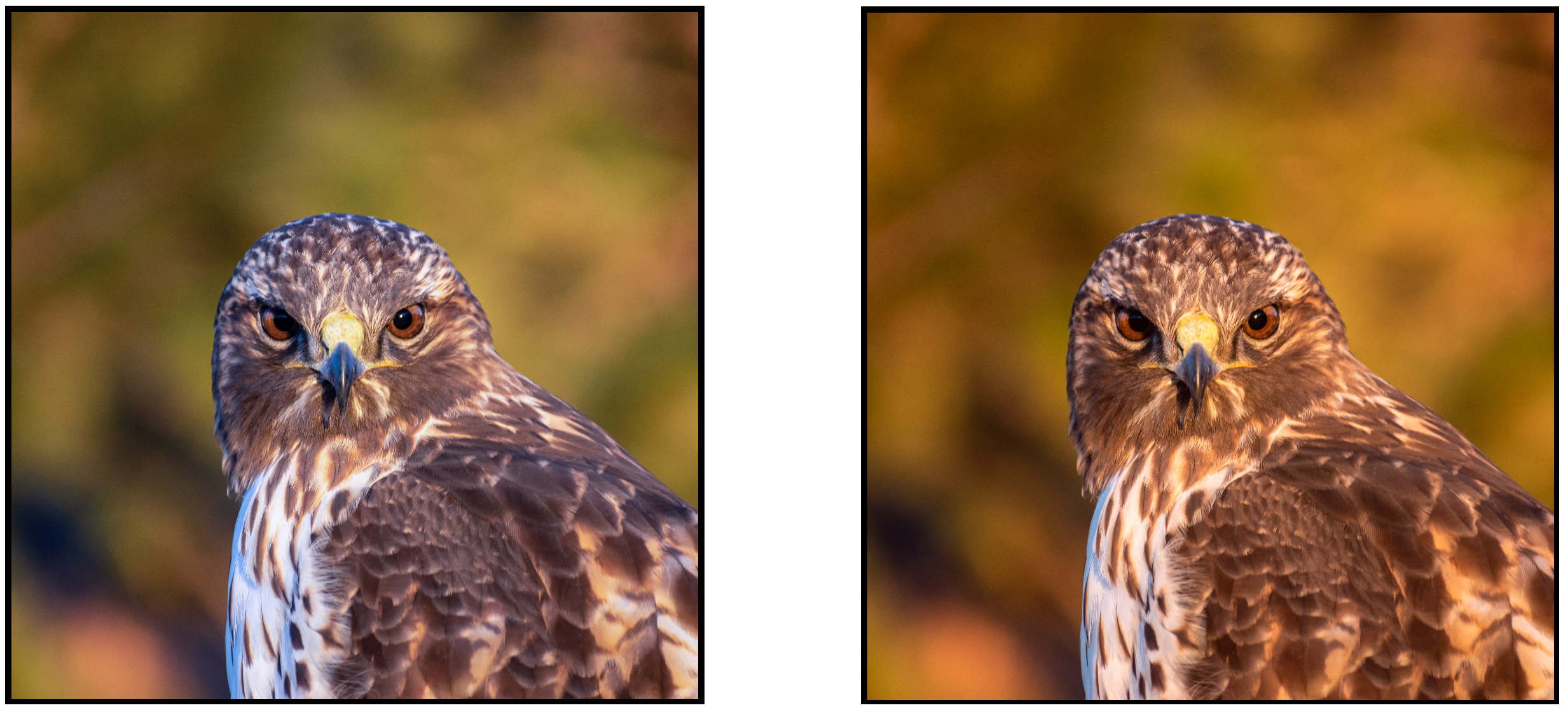 Comparison between two color corrected images to make them appear cooler or warmer. 