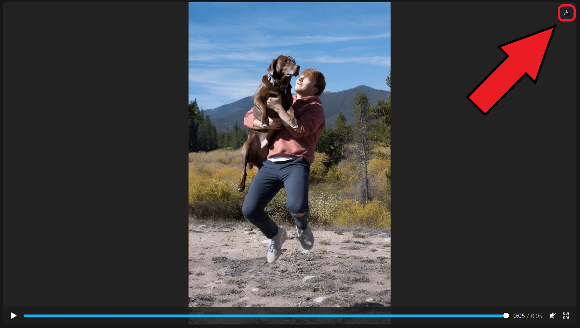 Guide showing how to download Higgsfield AI generated videos. 