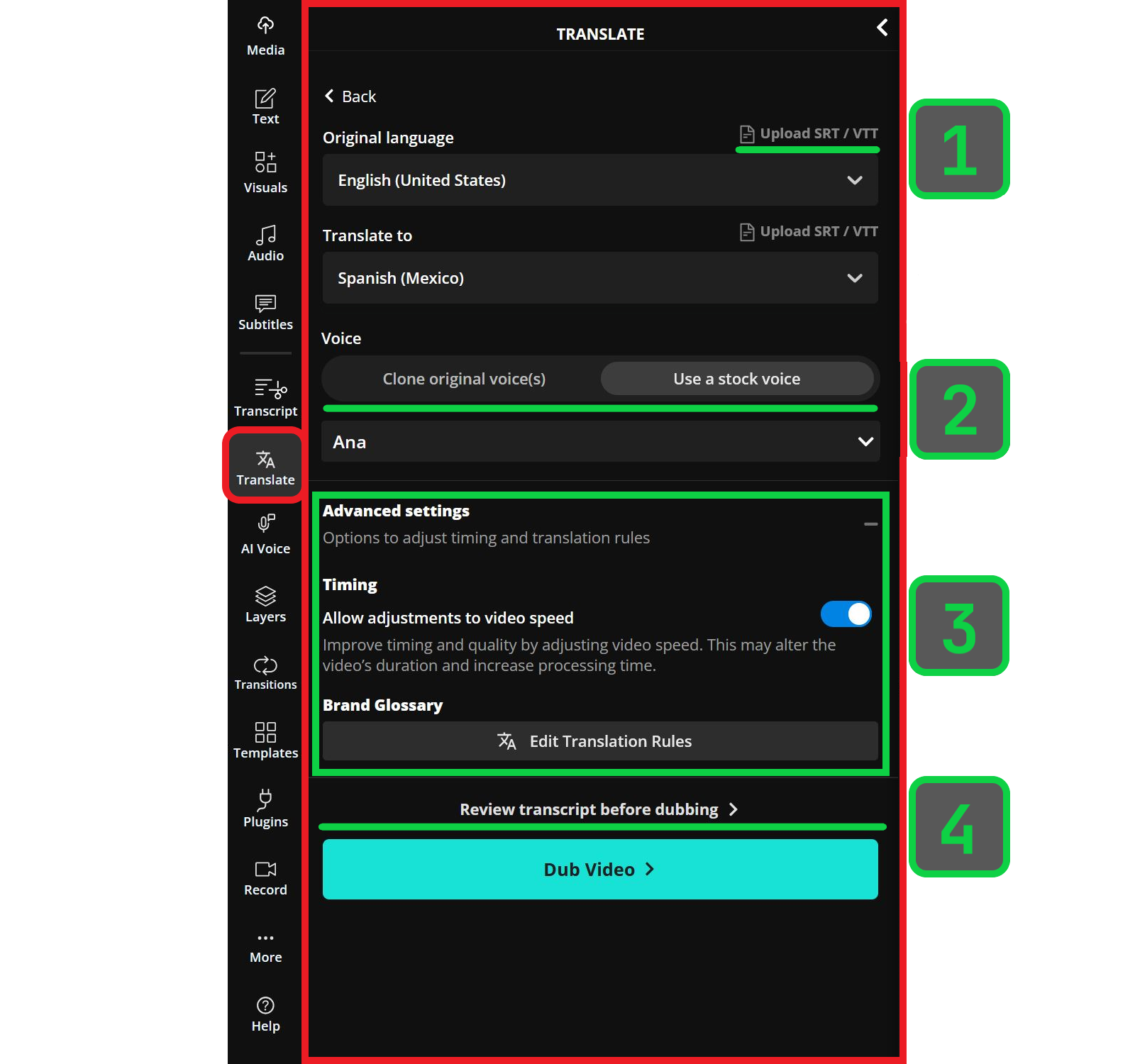 Guide showing how to use advanced dubbing options.