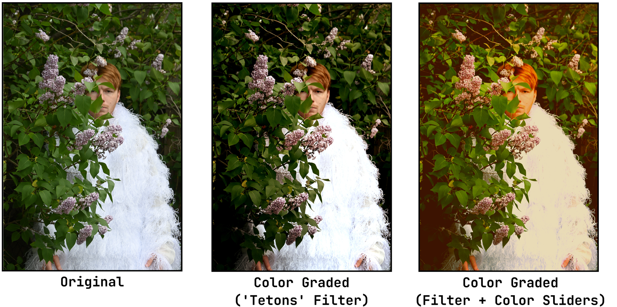 Example of color graded and filtered images to show how to apply color grading in photos and videos. 