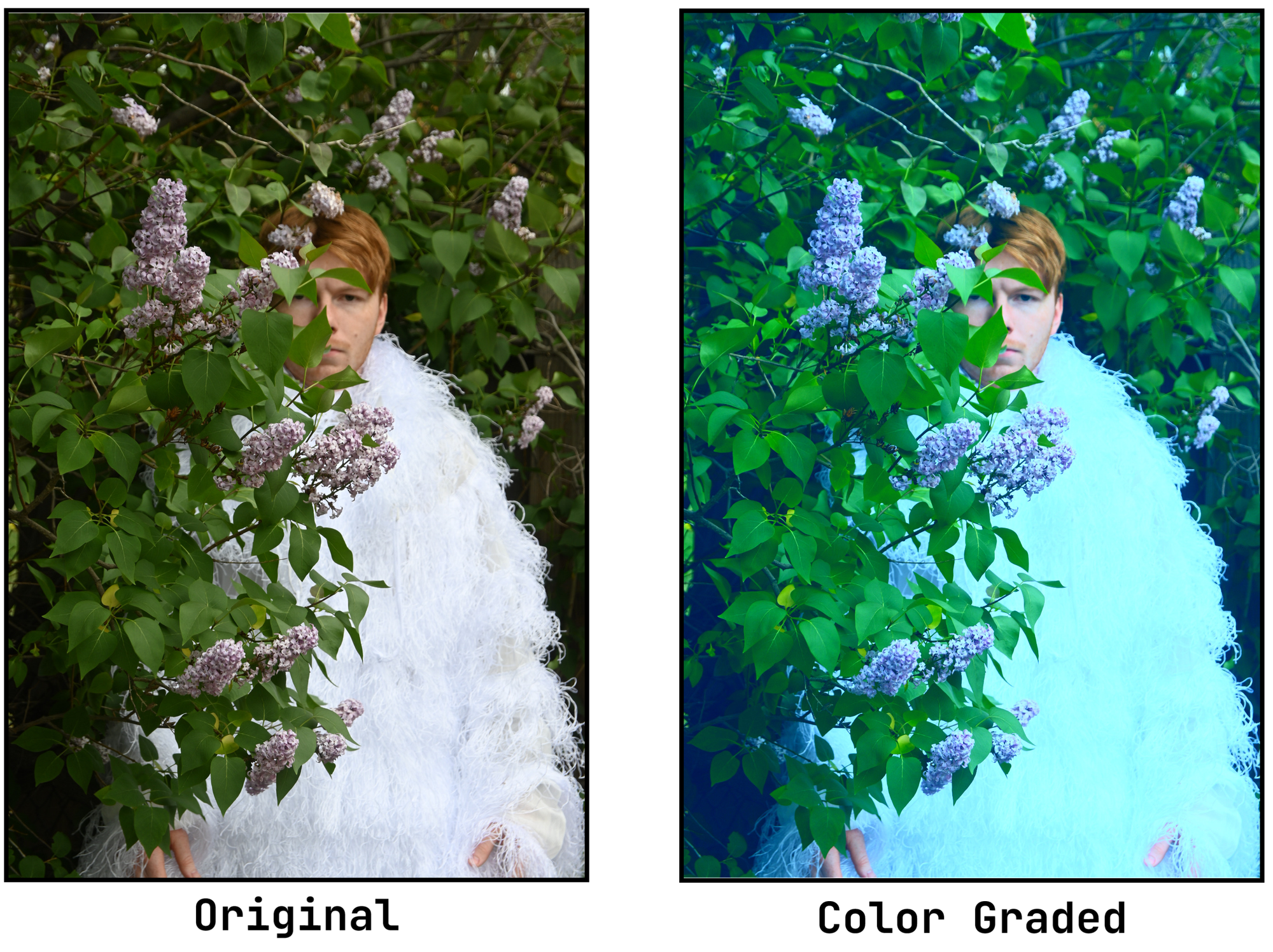 Image showing a color graded photo using extreme color correction editing. 