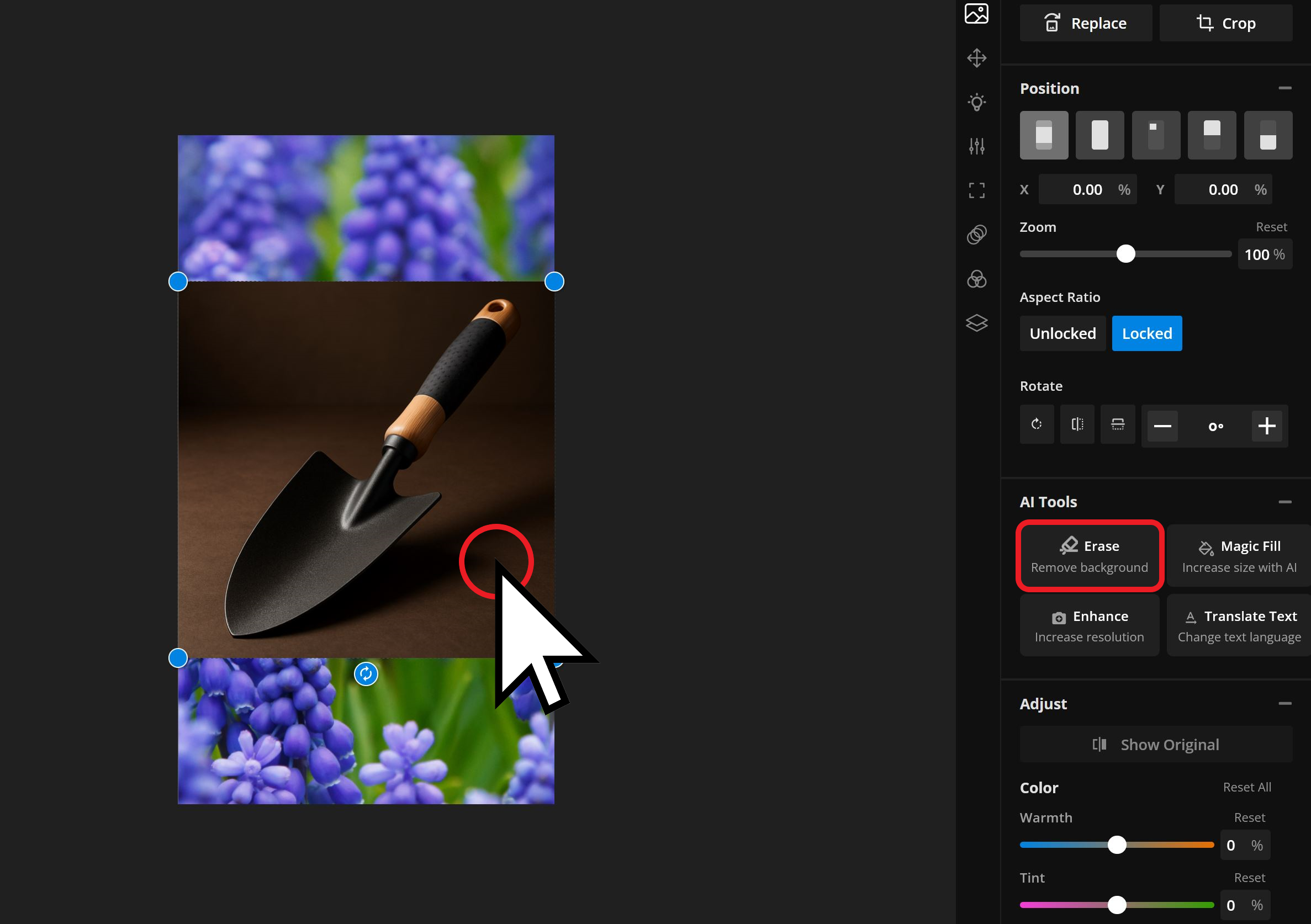Guide showing how to remove the background from images to post as an Instagram Story. 