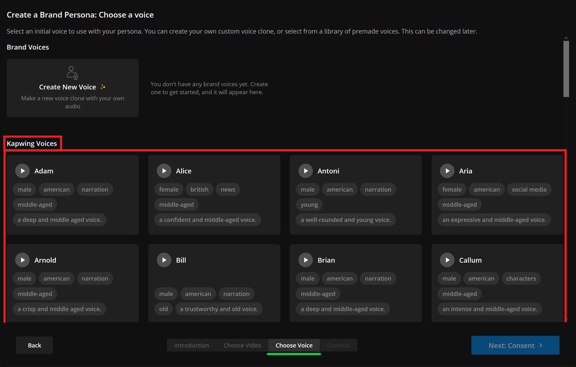 Guide showing the second step in creating an AI baby podcaster. 