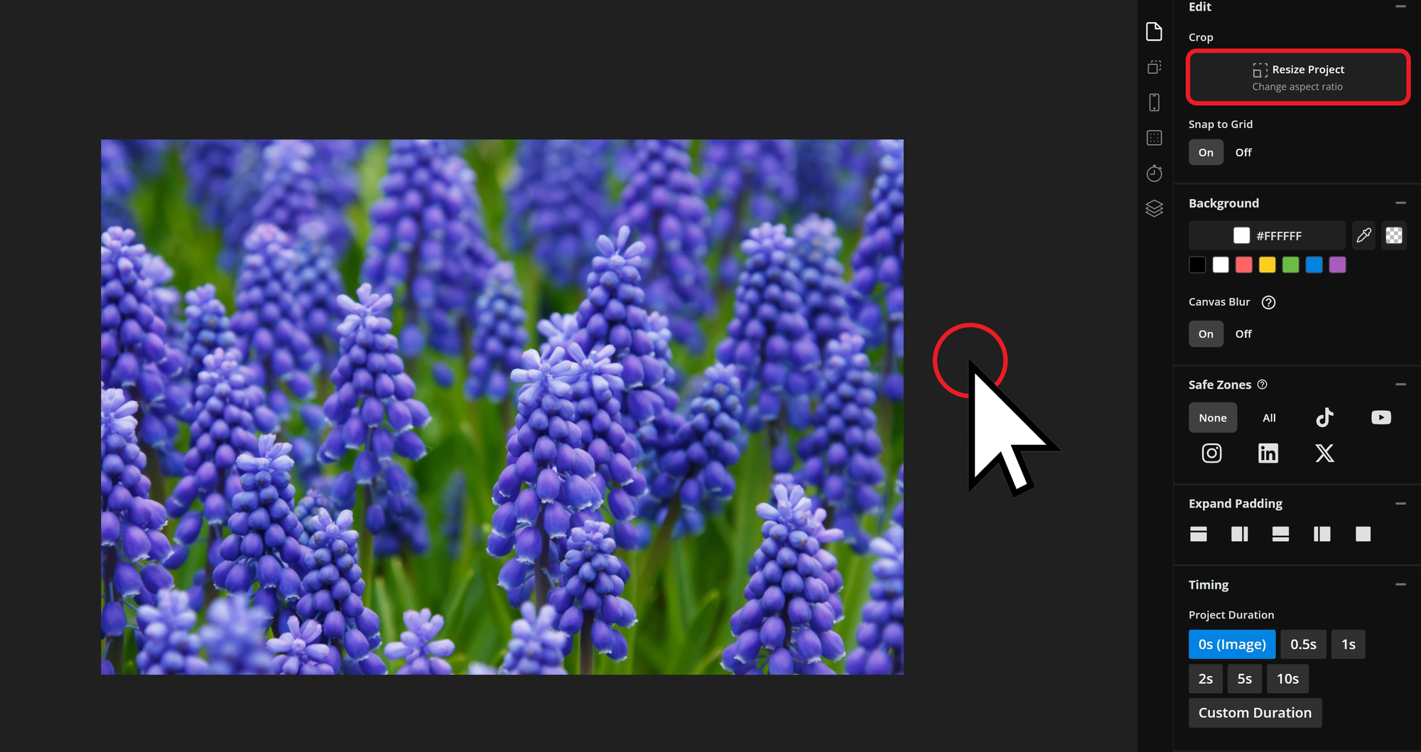 Guide showing how to resize background images for Instagram Stories. 