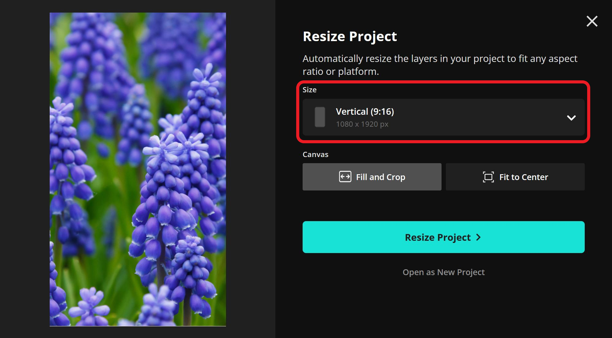 Guide showing the correct aspect ratio for Instagram Stories. 