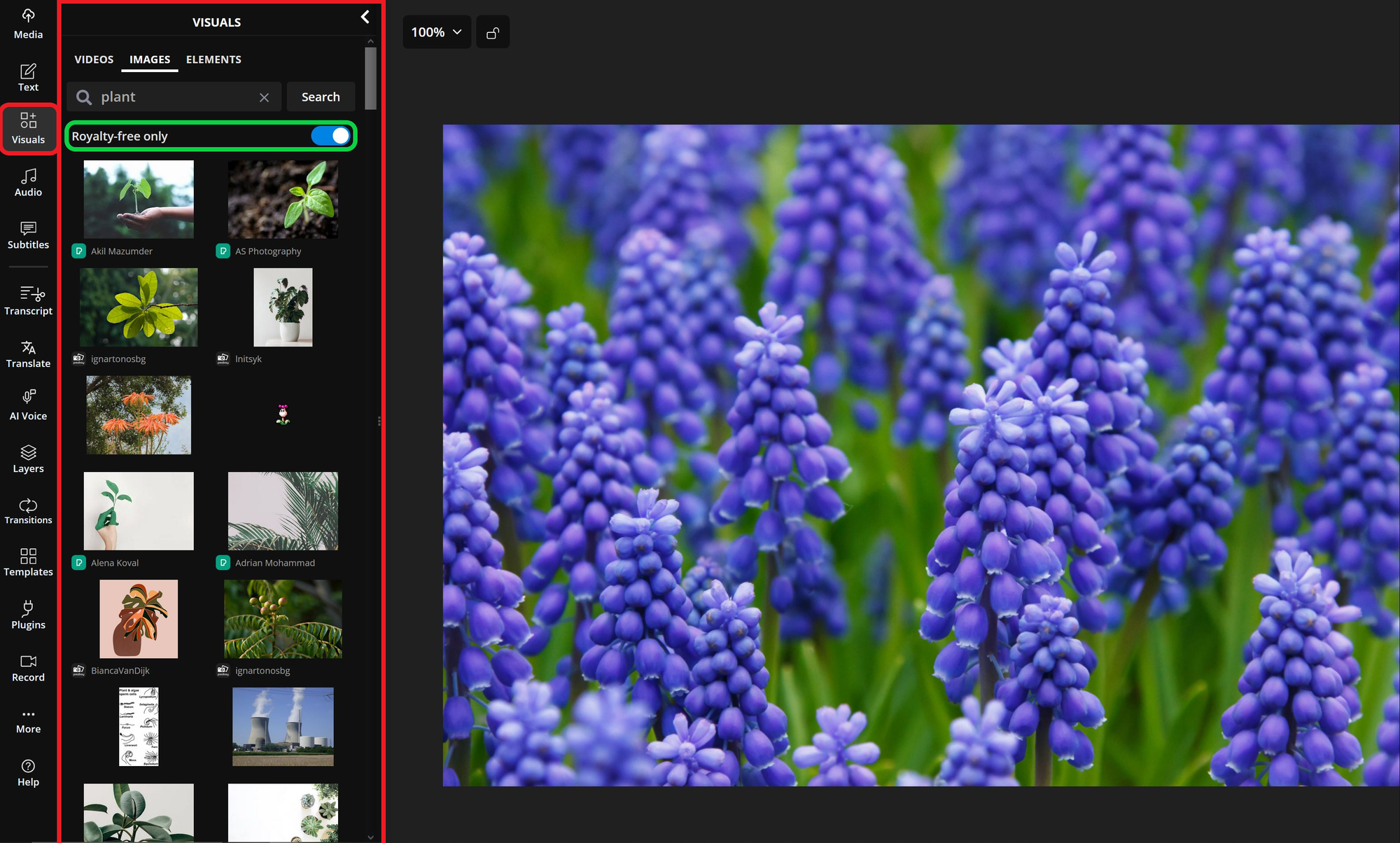 Example royalty-free image library for use in Instagram Stories. 