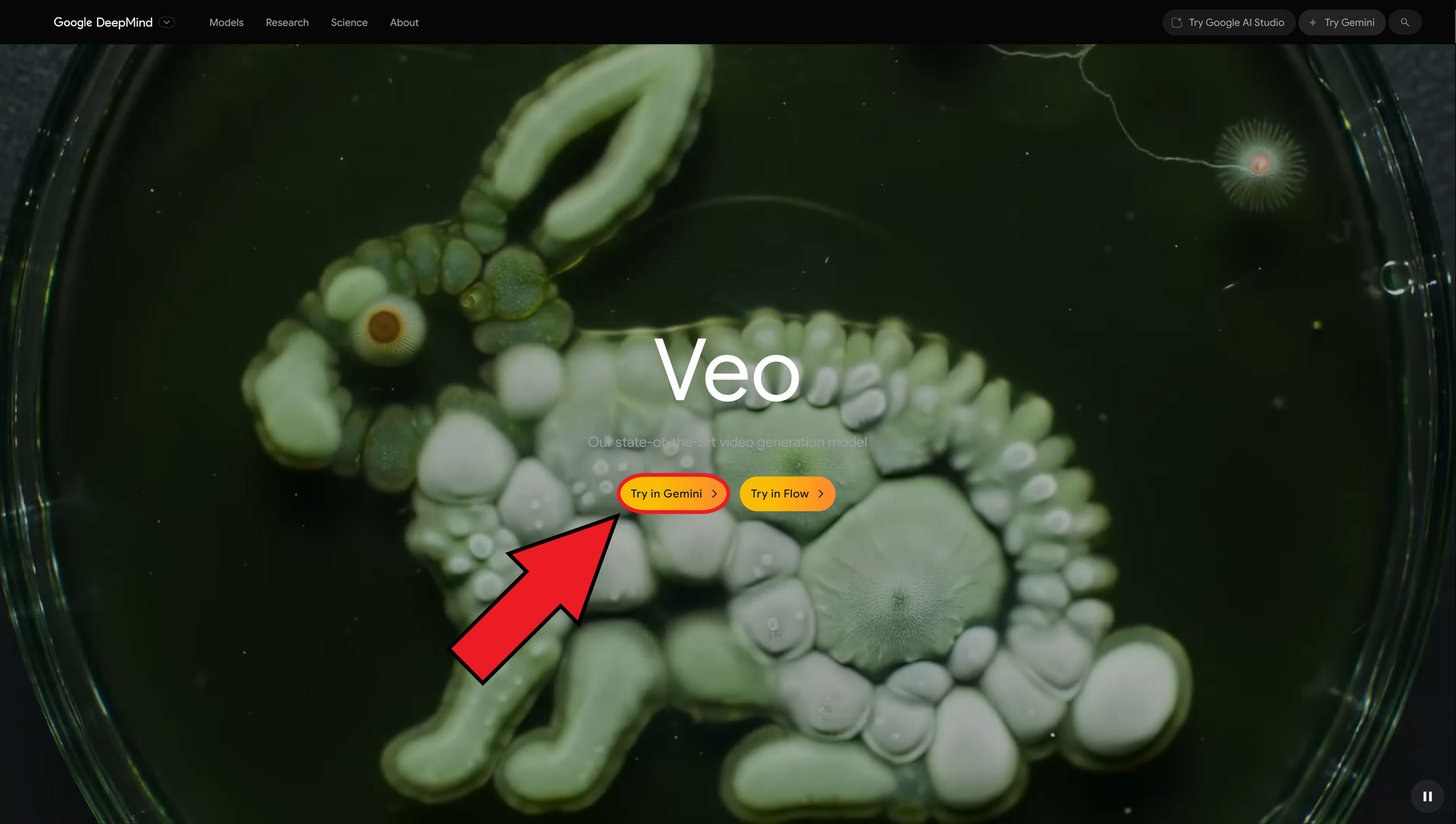 Google Veo website interface showing how to access the Veo 3 video generation model. 