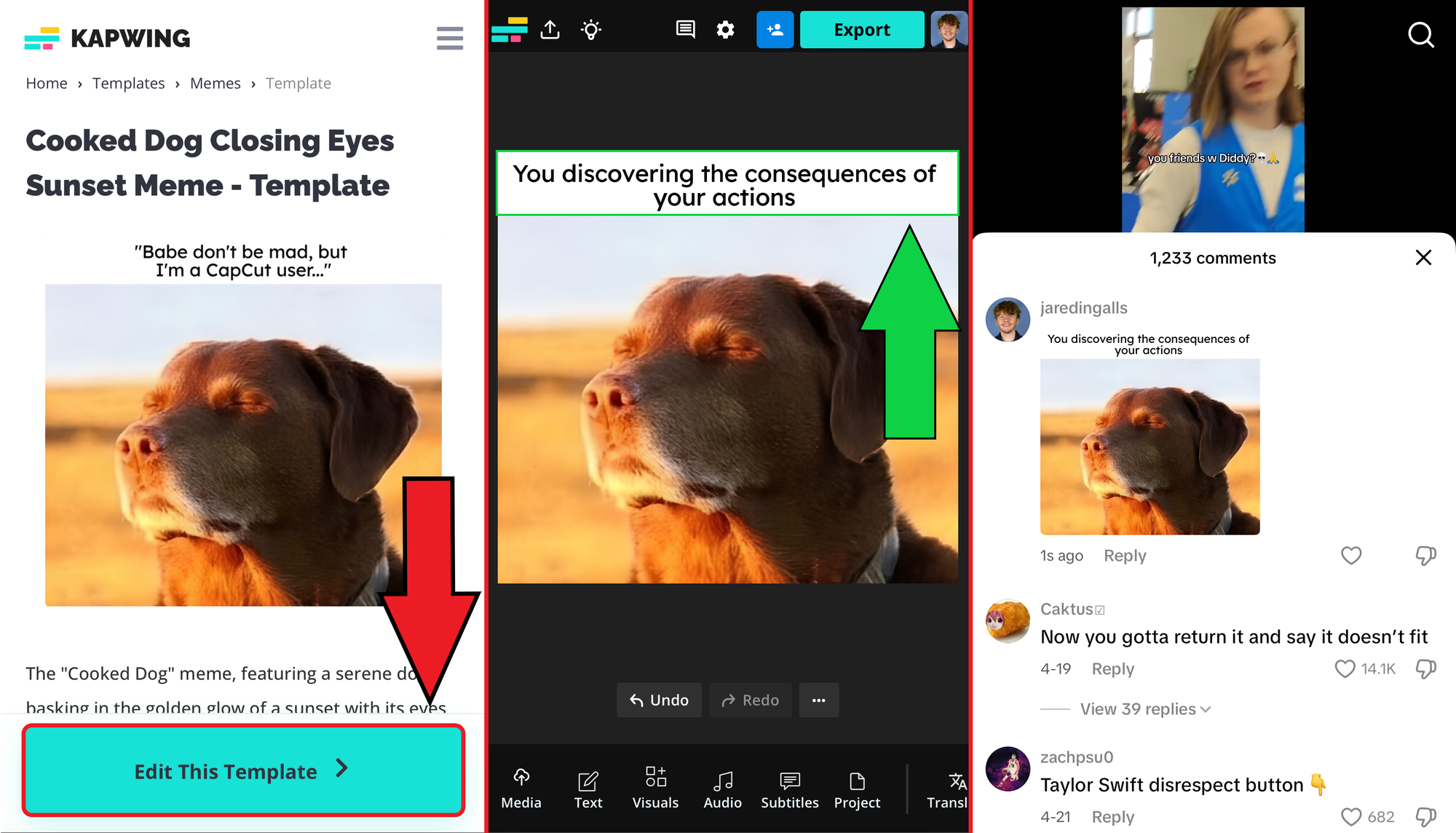 Guide showing how to create and edit trending memes for use in TikTok picture comments. 