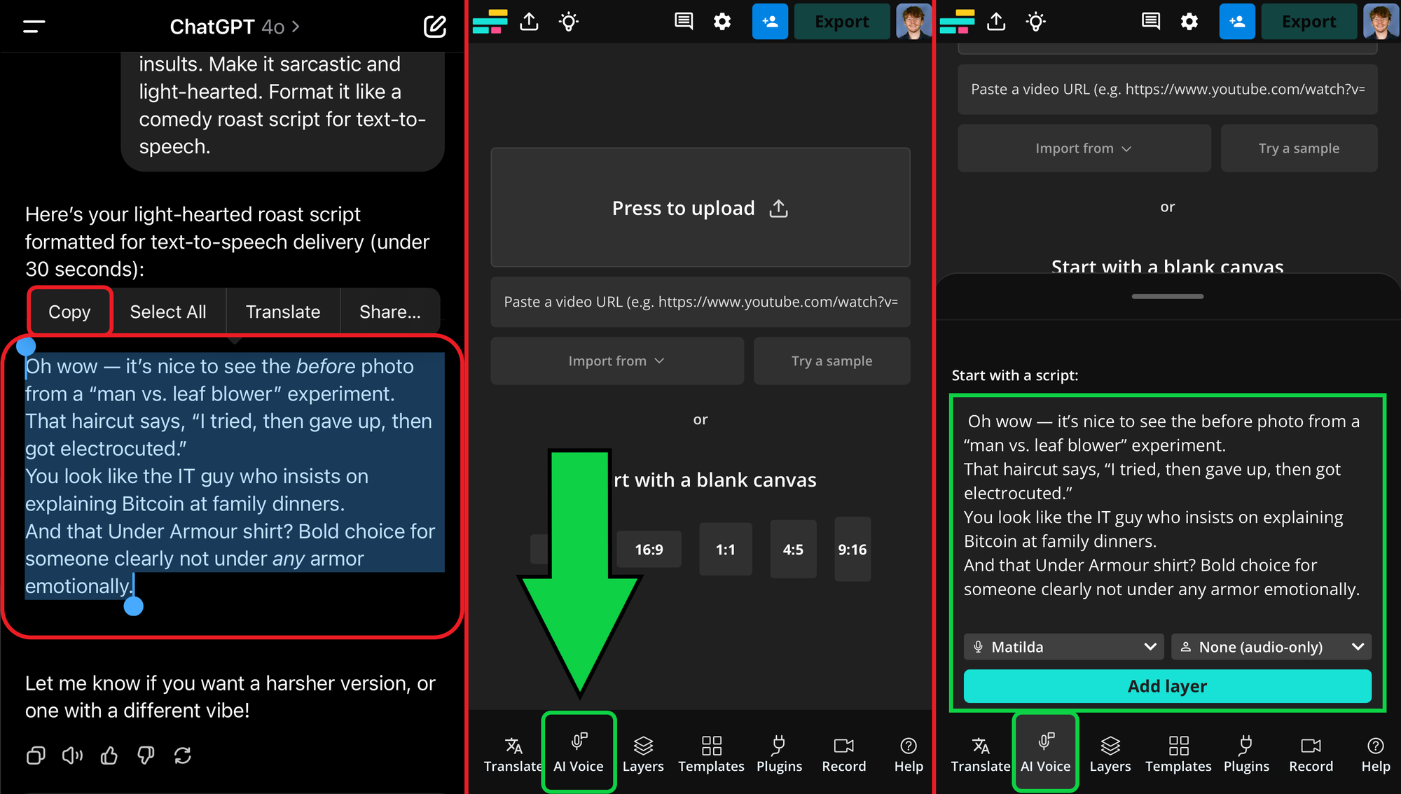 Guide showing how to create text to speech from a ChatGPT roast for a social media video. 