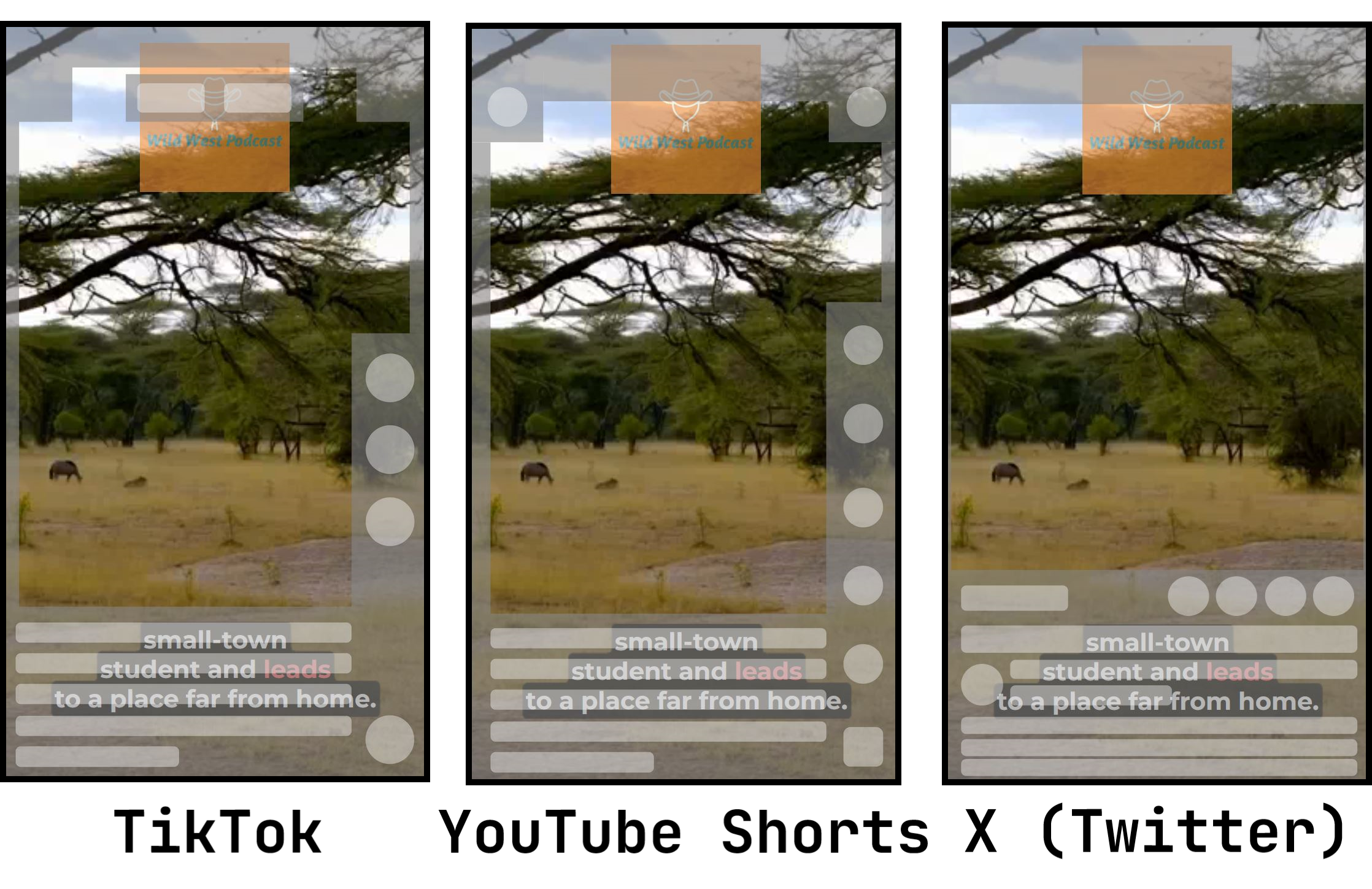 Caption guide comparing the interface of multiple social media platforms. 