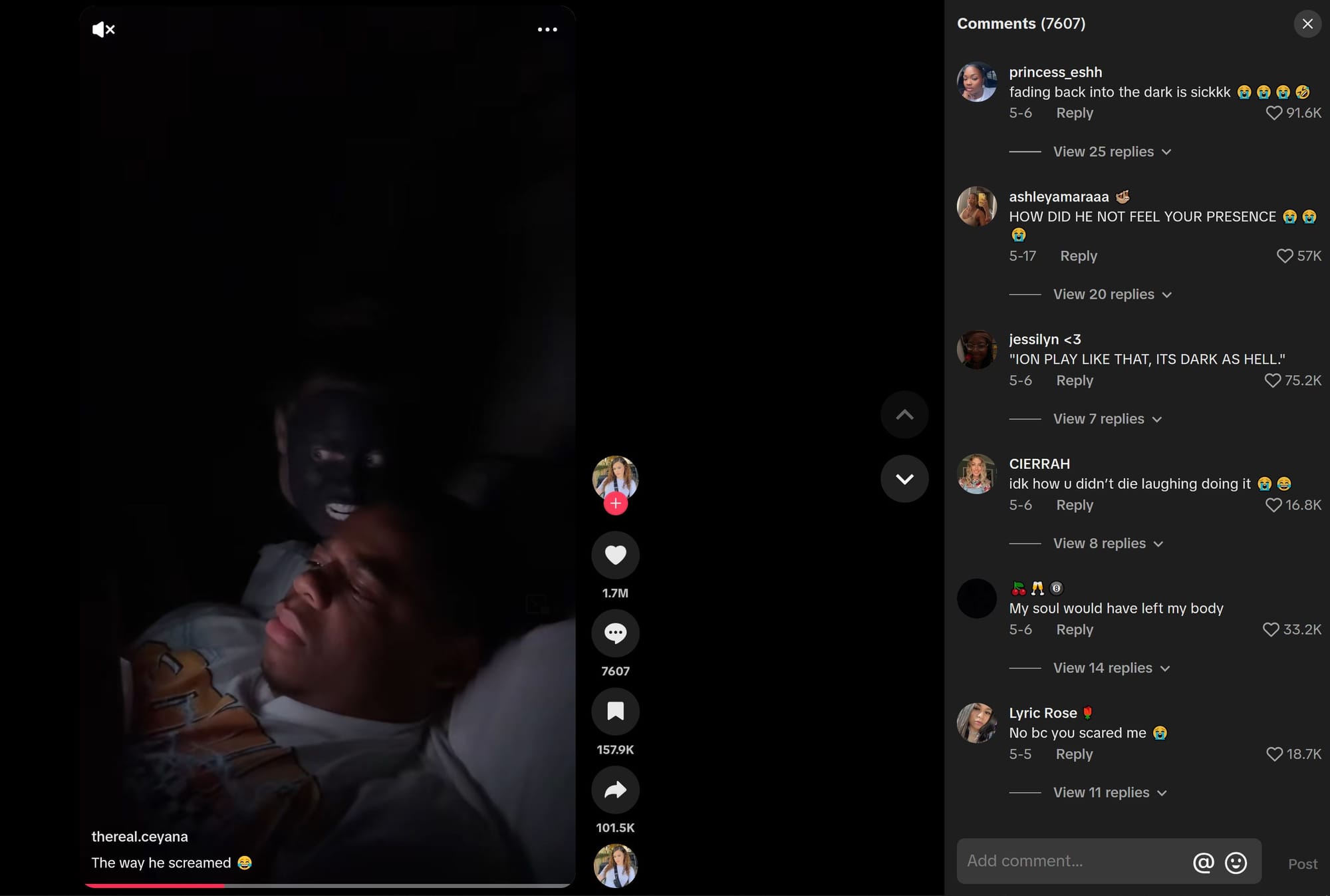 TikTok desktop interface showing a lack of image commenting options. 
