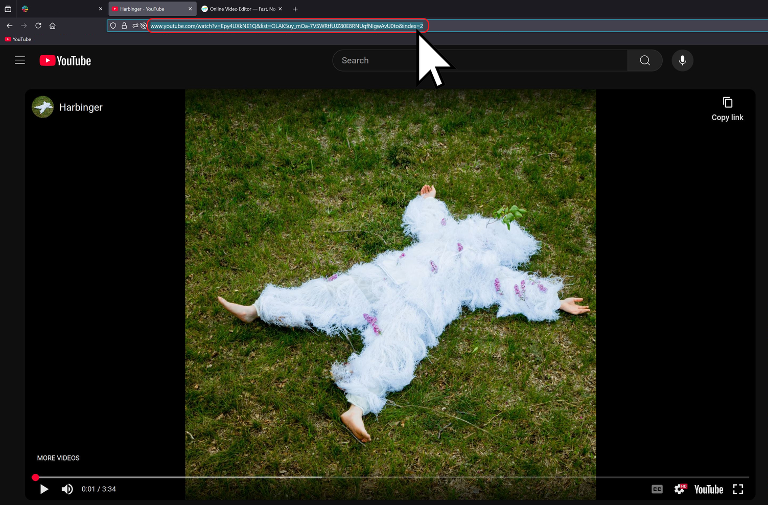 Guide showing how to copy a YouTube video link for extracting audio. 