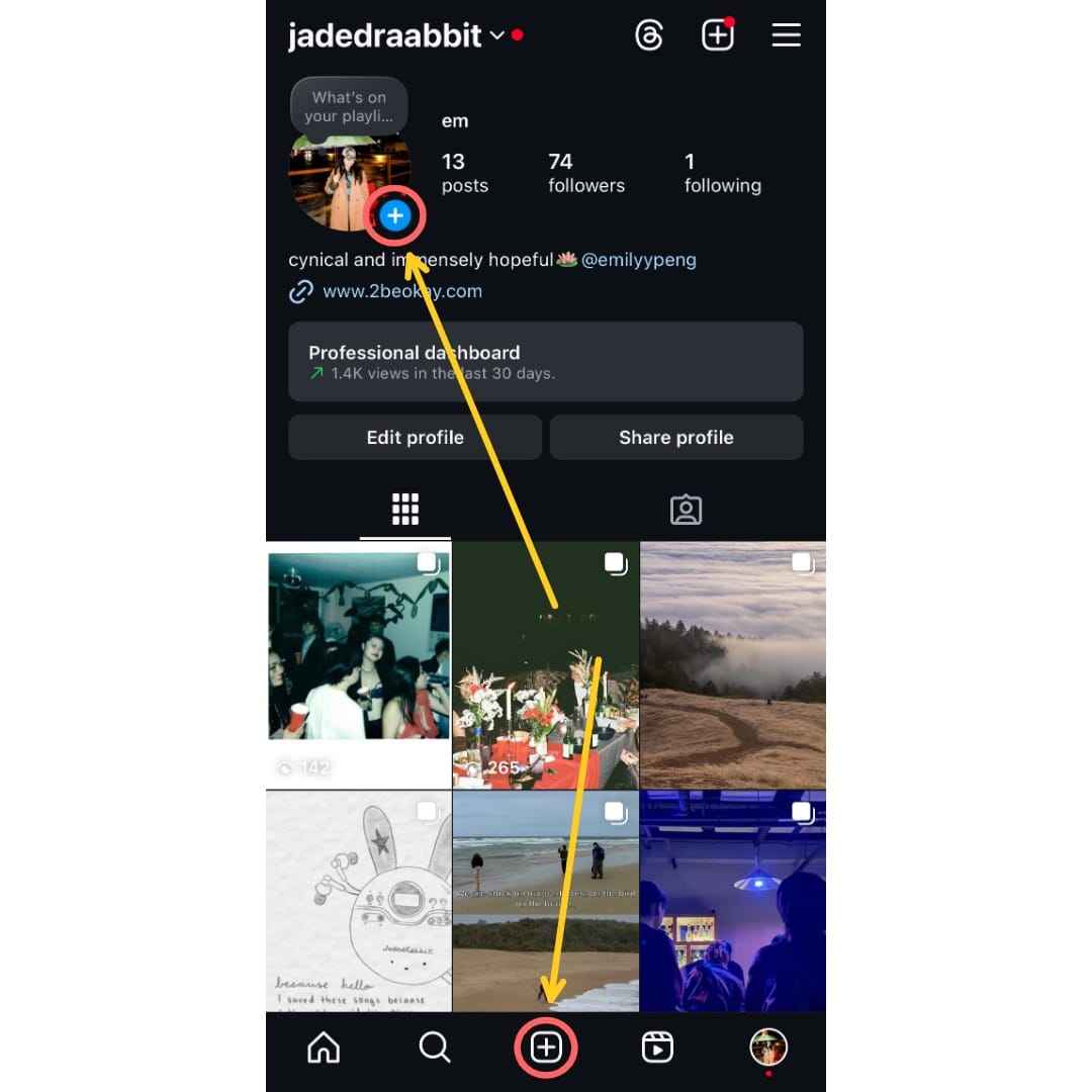 A screenshot showing an Instagram profile, with circles around the '+' icons